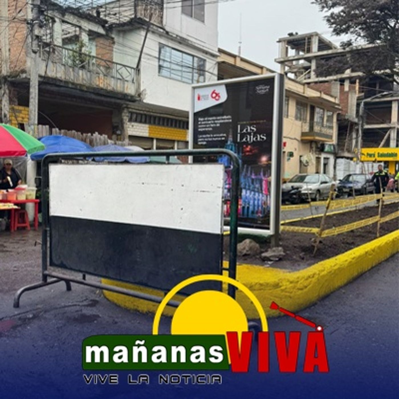 Habitantes de la Avenida Las Lajas solicitan a ISERVI mantenimiento del separador vial