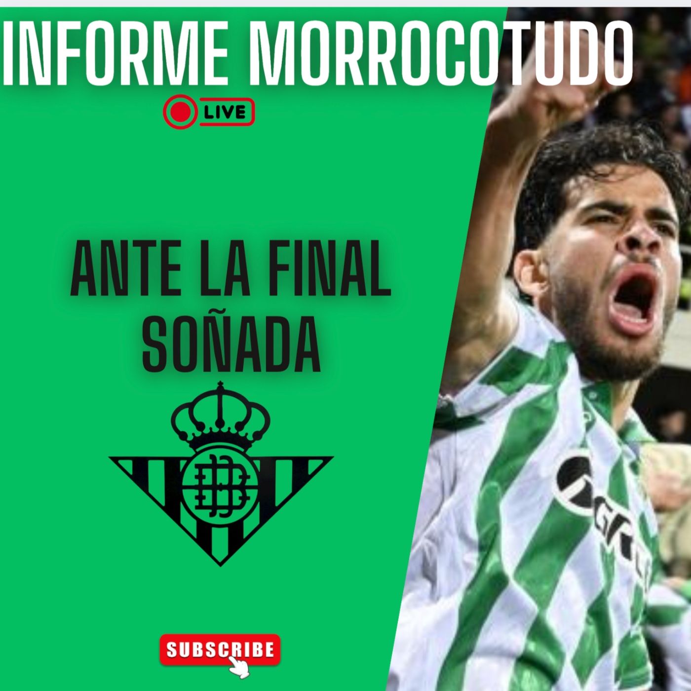 Informe Morrocotudo