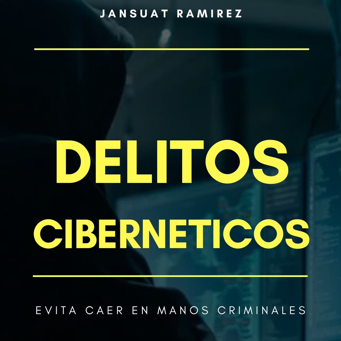 delitos ciberneticos