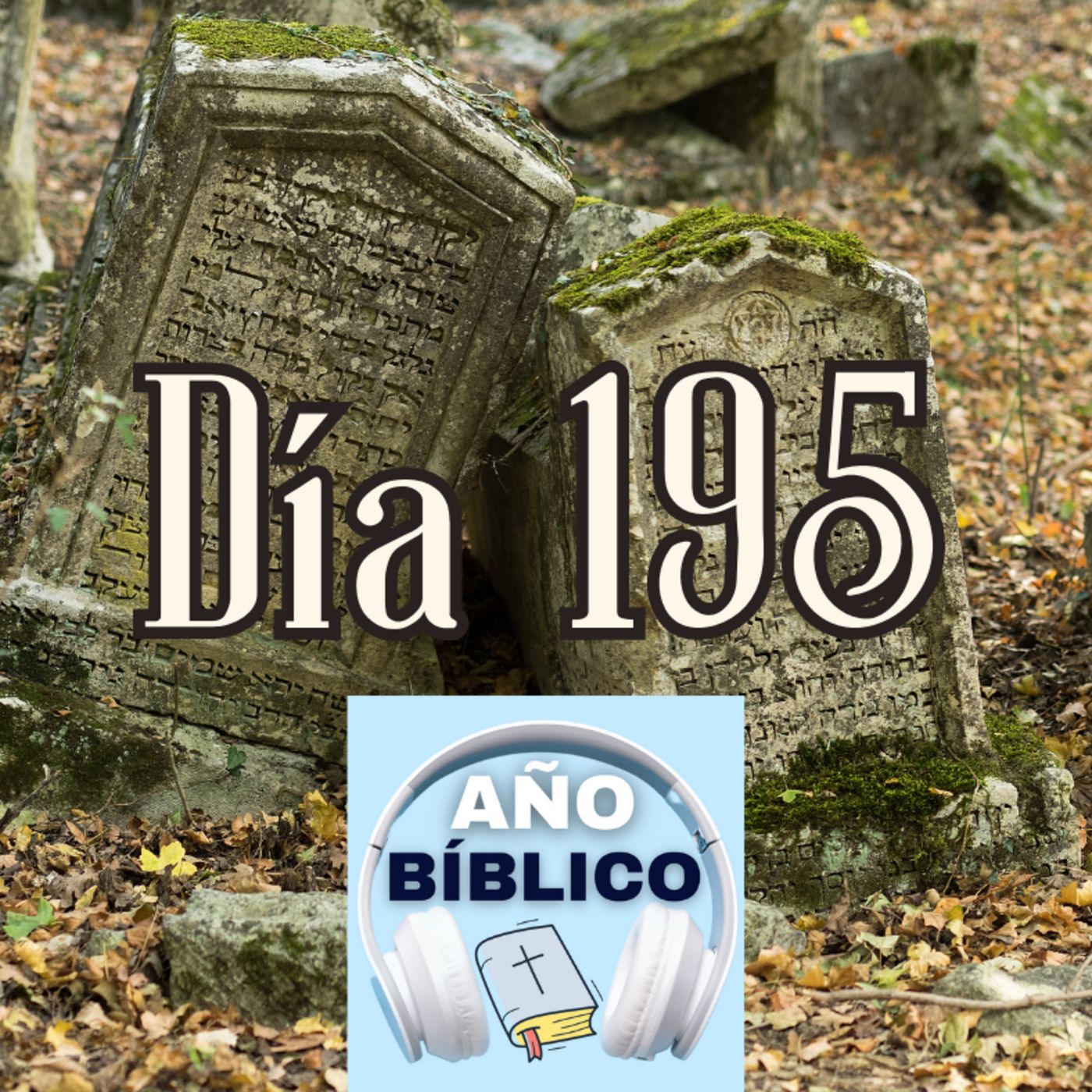 Día 195 - Salmos 80:14-19, 2 Crónicas 18:9-34; 2 Crónicas 19 y Romanos 11:1-18 episode artwork