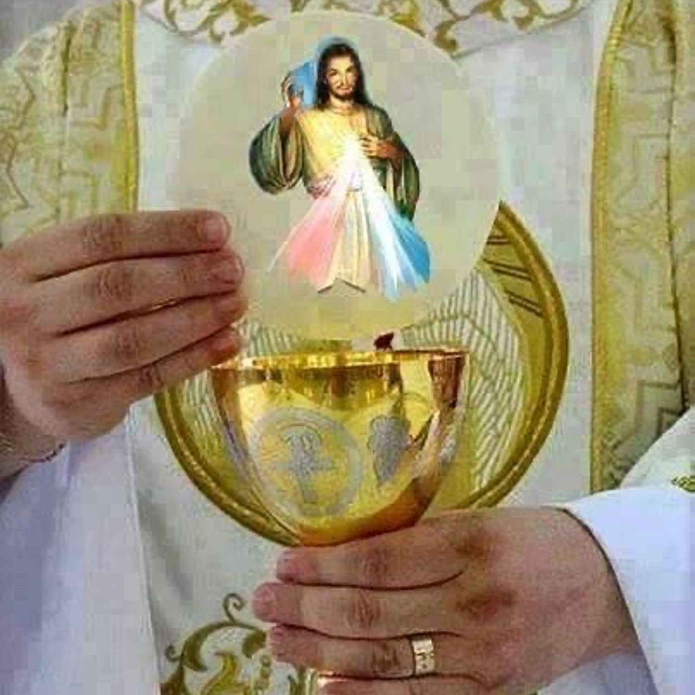 🙏🏼🌻☀️ 4ª Ora d. Passione. La Cena Eucaristica (8-9 di sera). Adorazione e Riparazione episode artwork