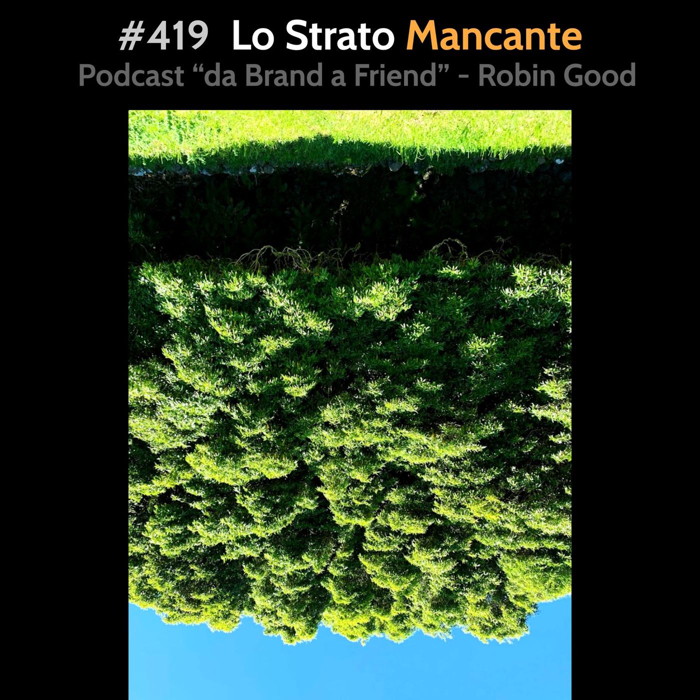 #419 - Lo Strato Mancante episode artwork