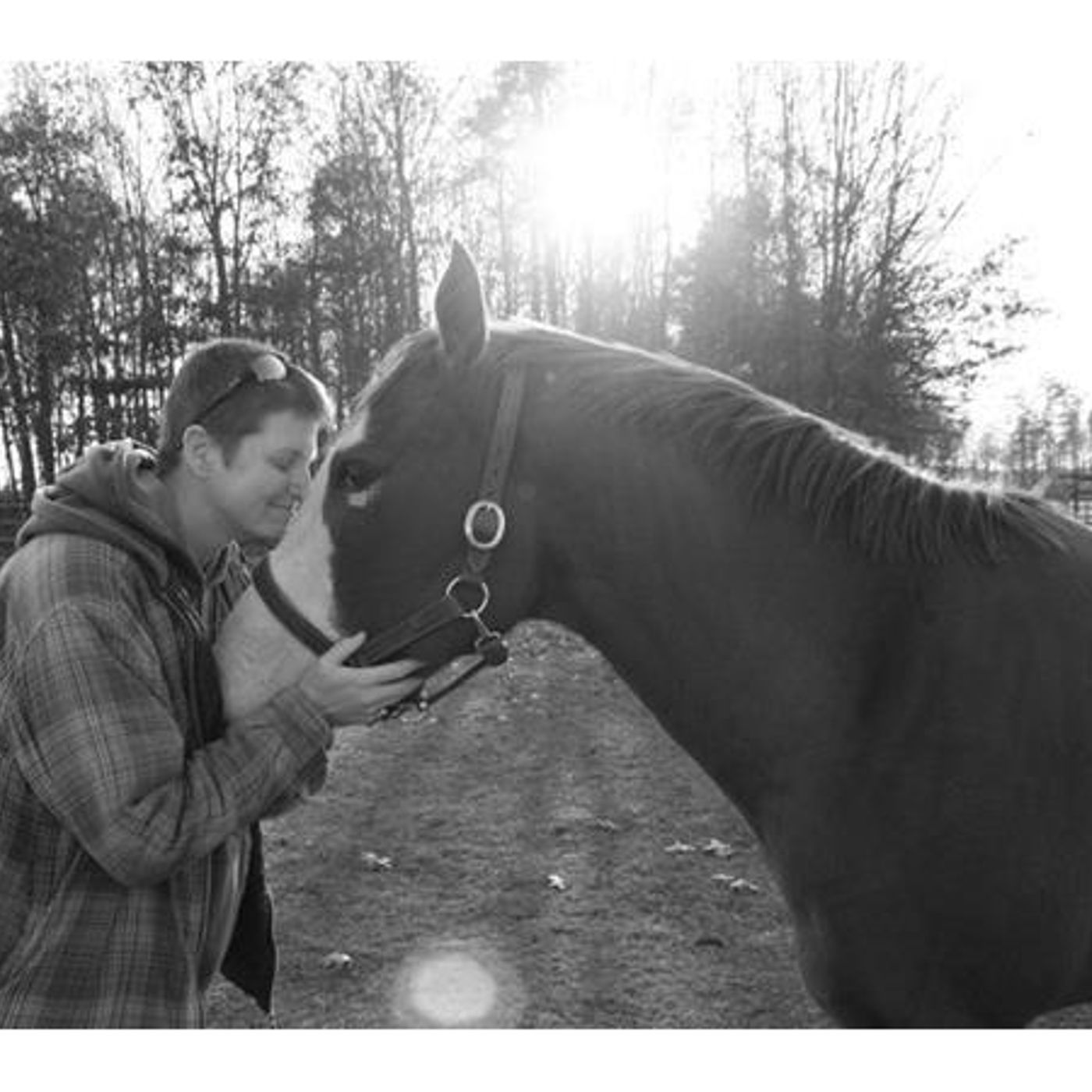 Horse Drawn Insights With Kristi Rockley episode artwork