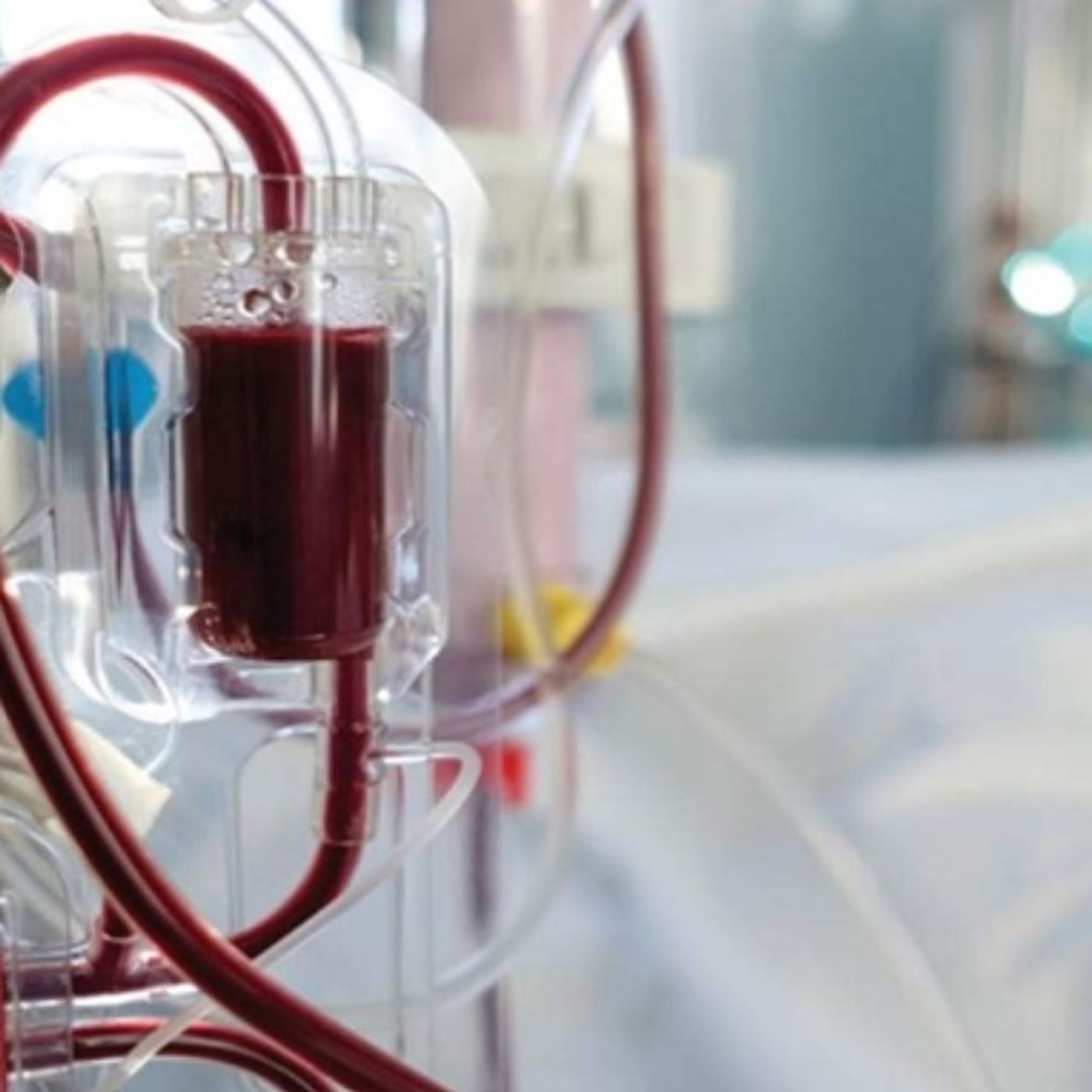 نظام دزدسالار و جنایت با داروی دیالیز