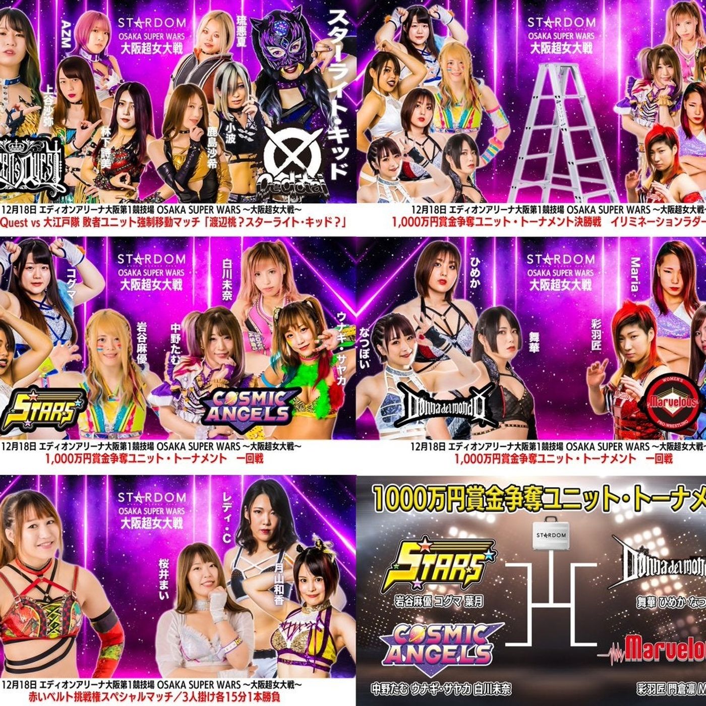 The Wrestling Enthusiast Podcast