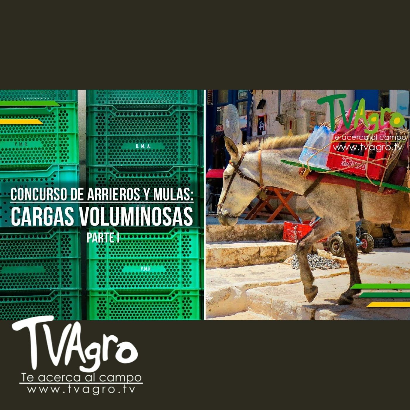 TV AGRO