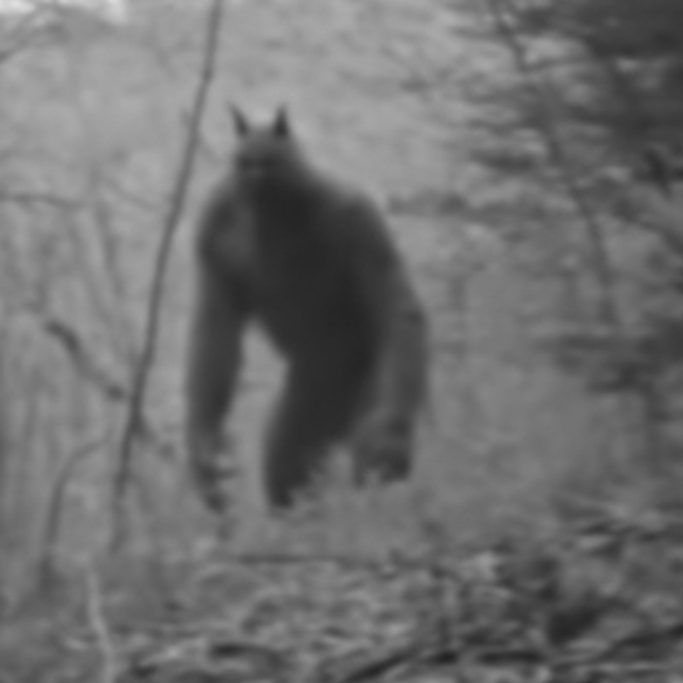 Le Renté Un Cuarto A Un Hombre NAHUAL Historias De Terror - REDE