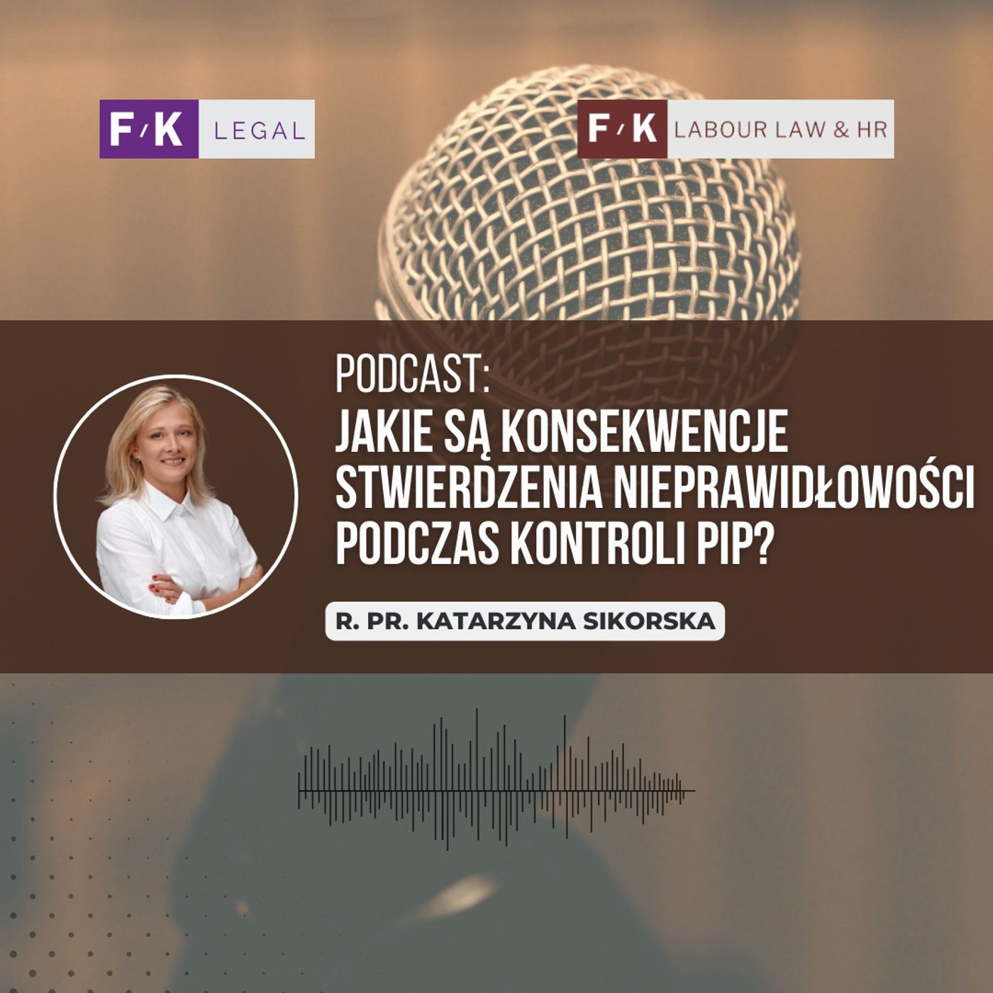 Podcast F/K Legal: Jakie są konsekwencje stwierdzenia nieprawidłowości podczas kontroli PIP? episode artwork
