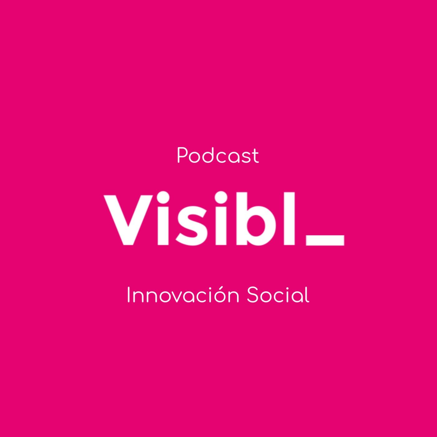 Visibl_  Innovación Social