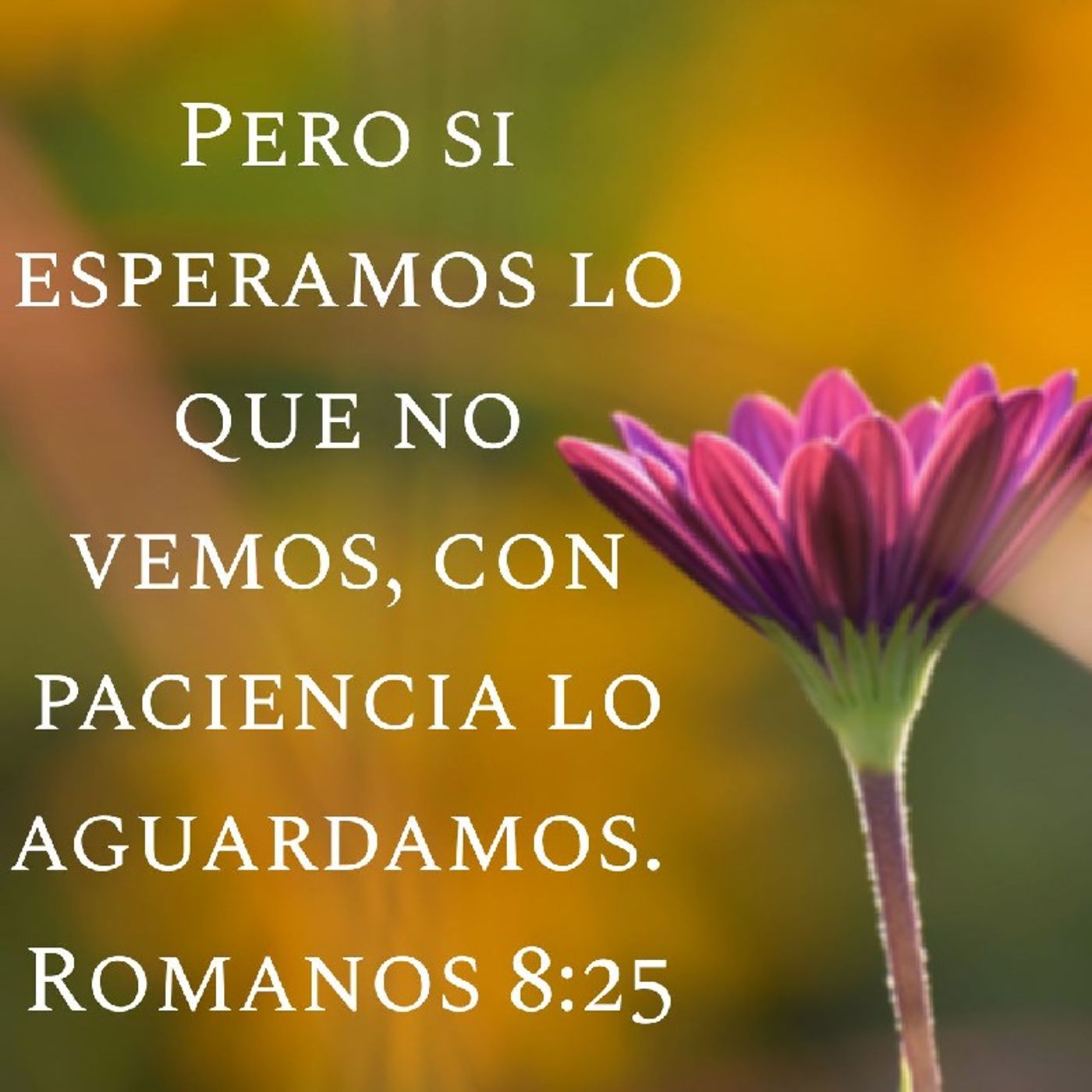 Esperanza✊🏾 thumbnail
