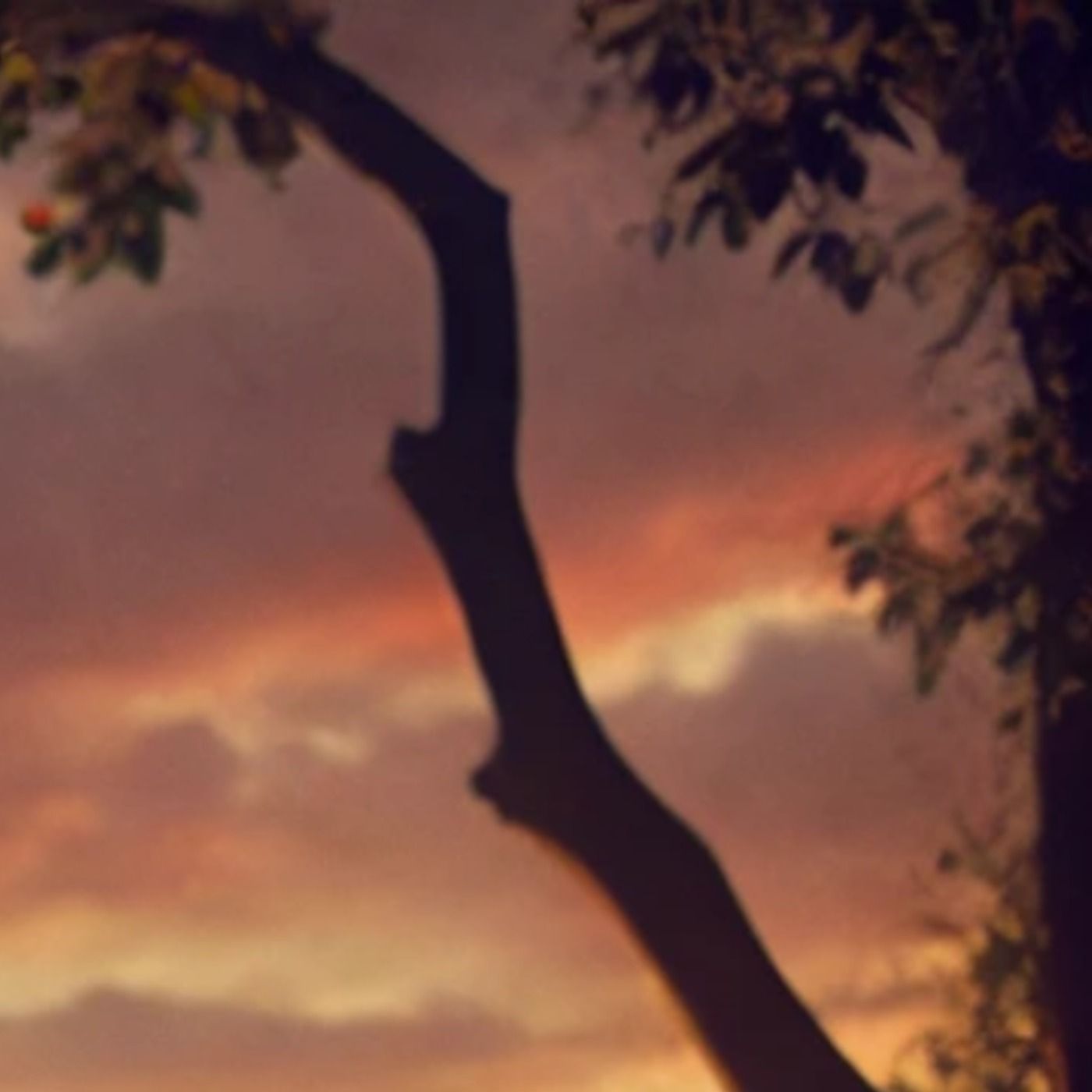 Healing After Betrayal: When Love Is Unappreciated