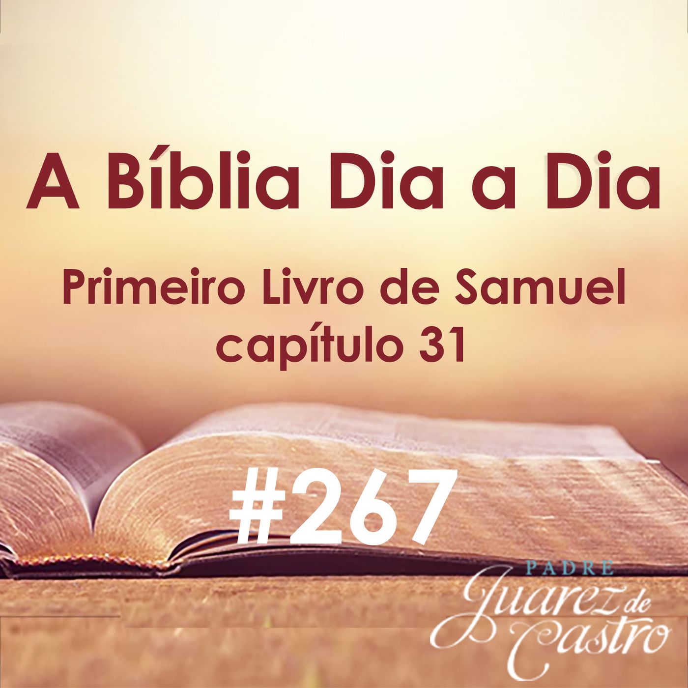 Curso Bíblico Padre Juarez