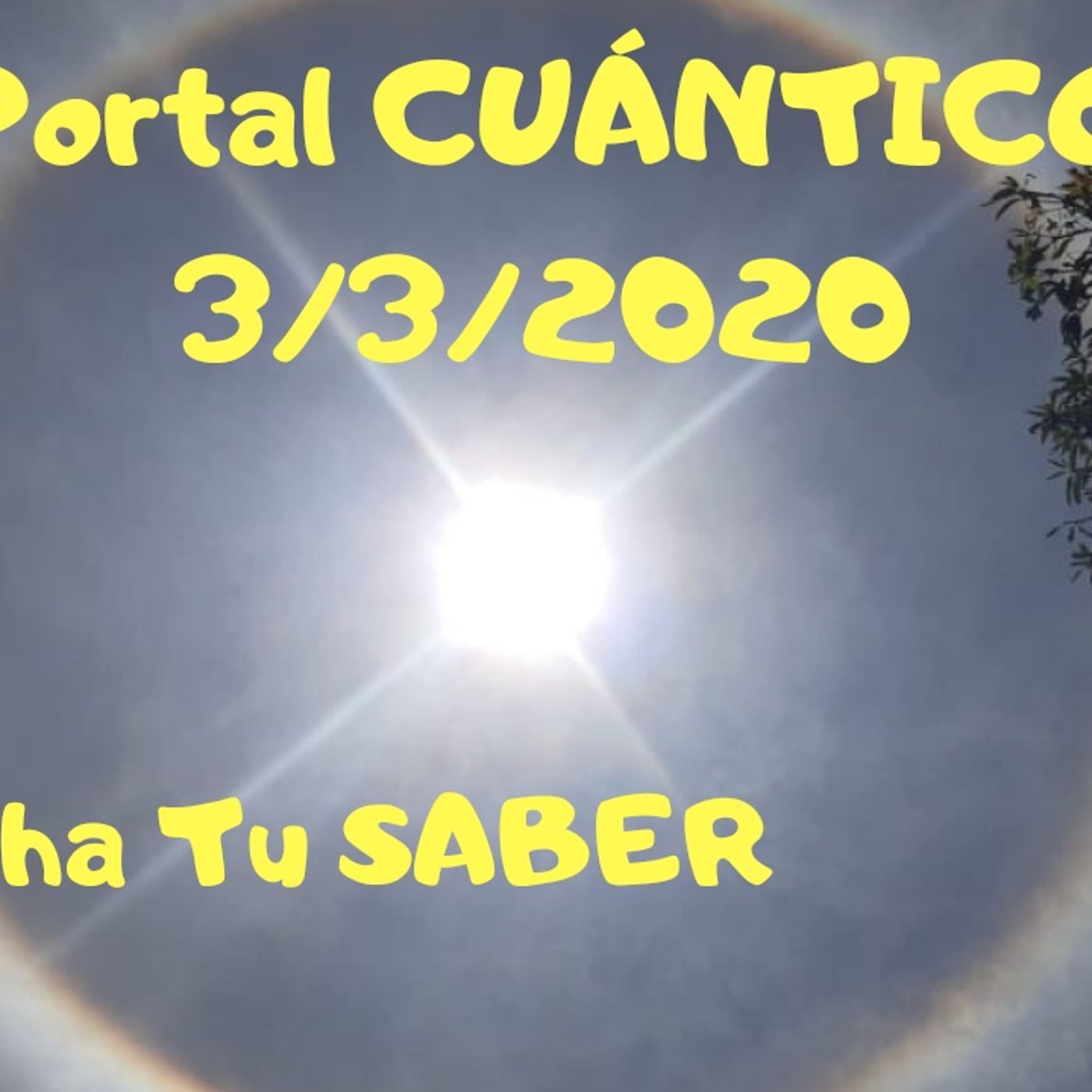UnaTazaDeTiDiaria