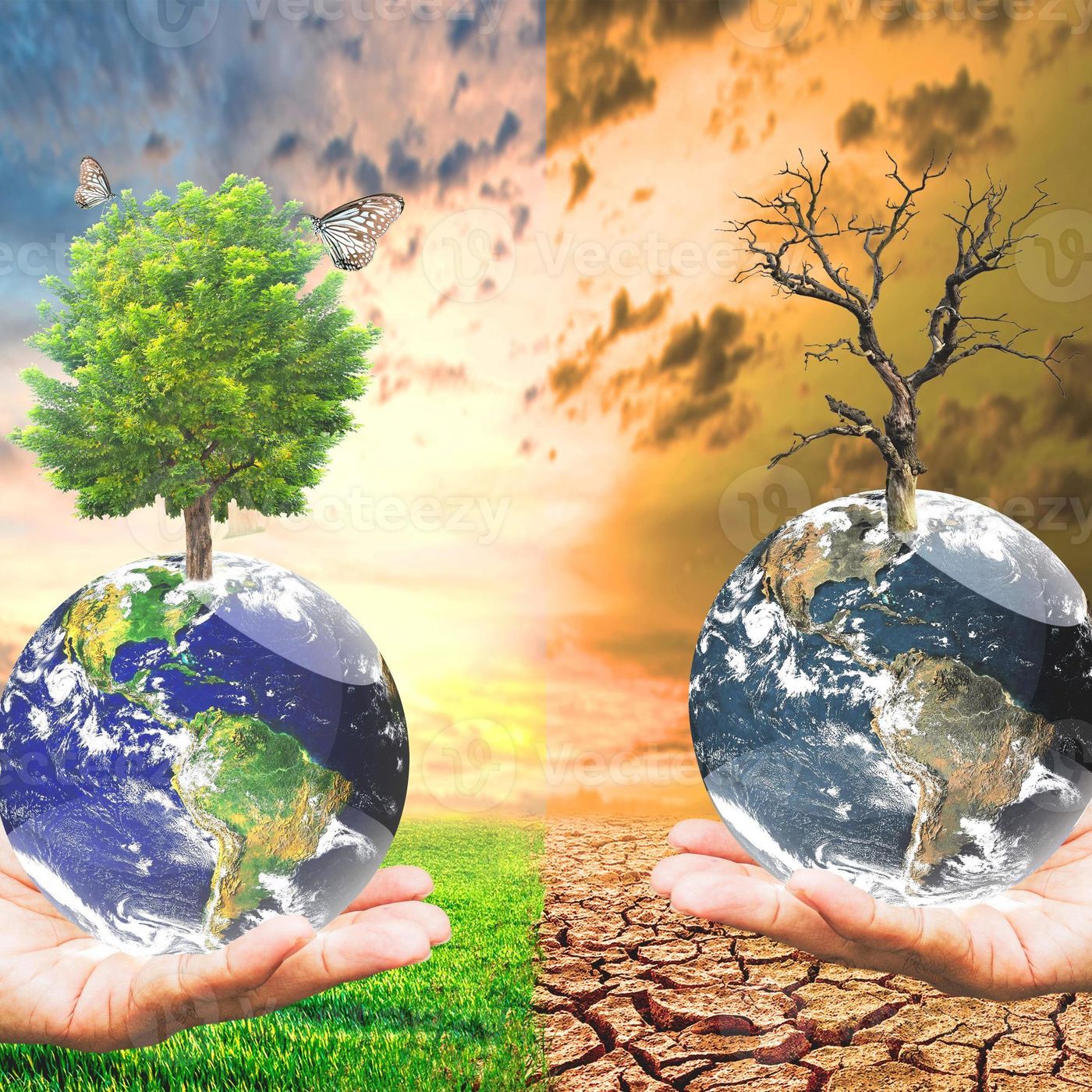 La conservación ambiental