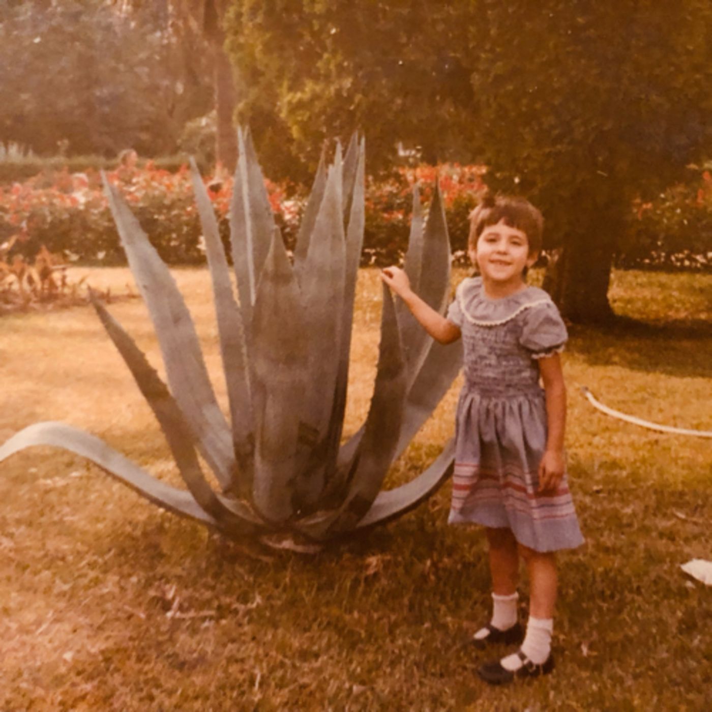 La joven y la guerra