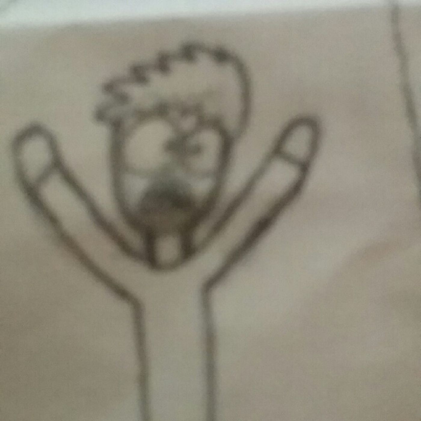 Devin M Baca\'s show