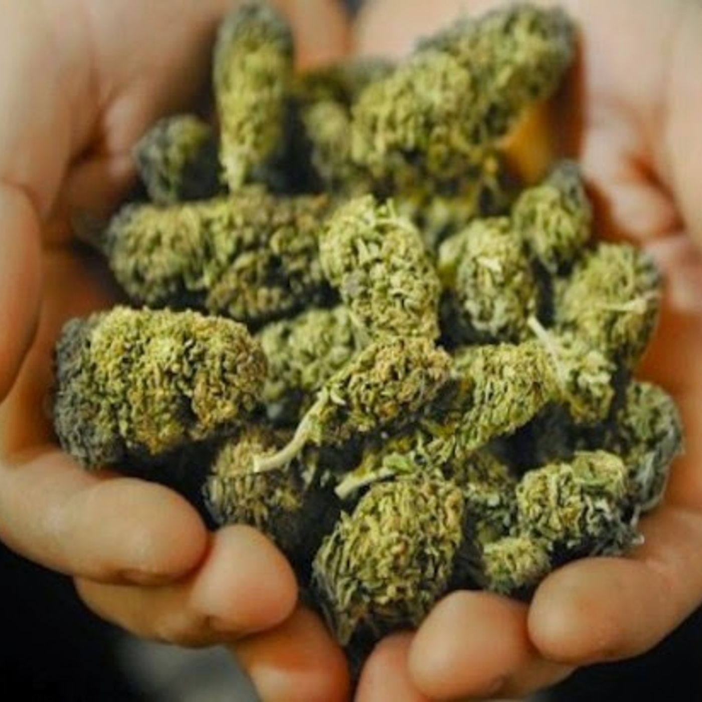 Potcasts* cannabis investing news