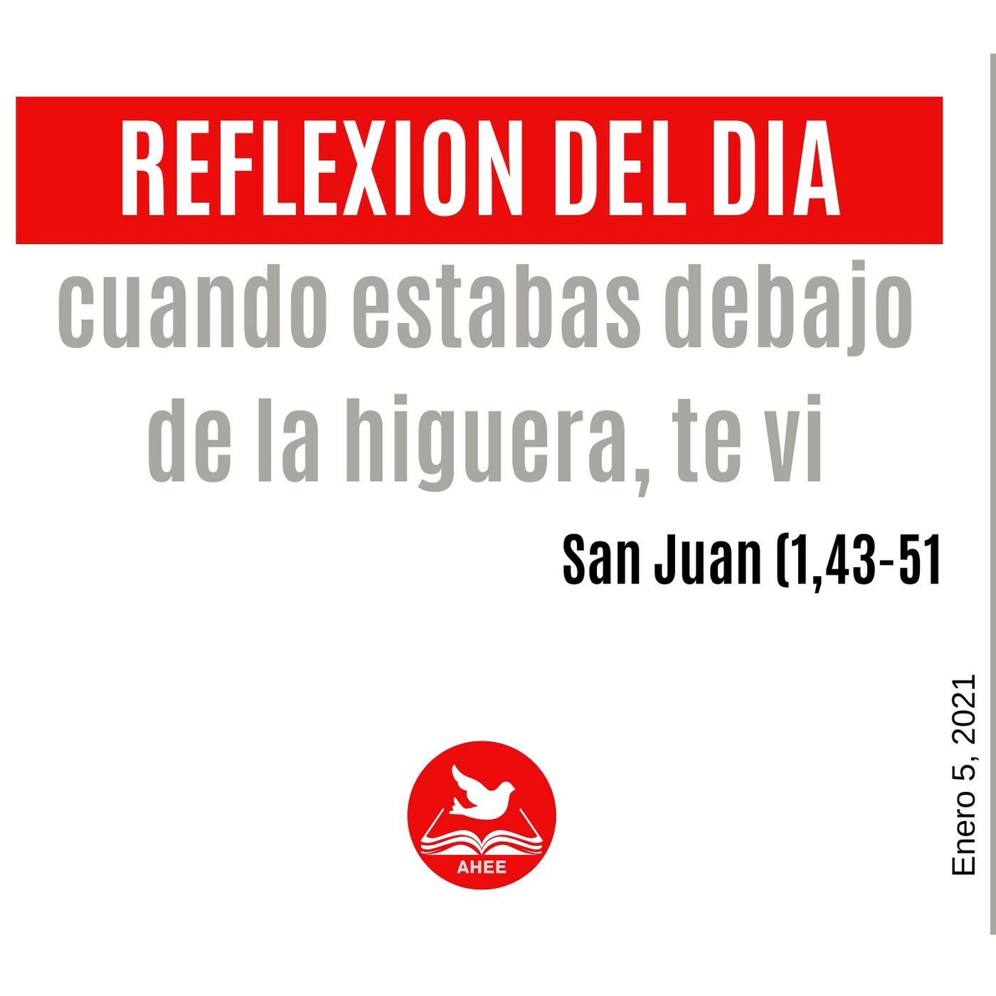 Reflexiones  del día