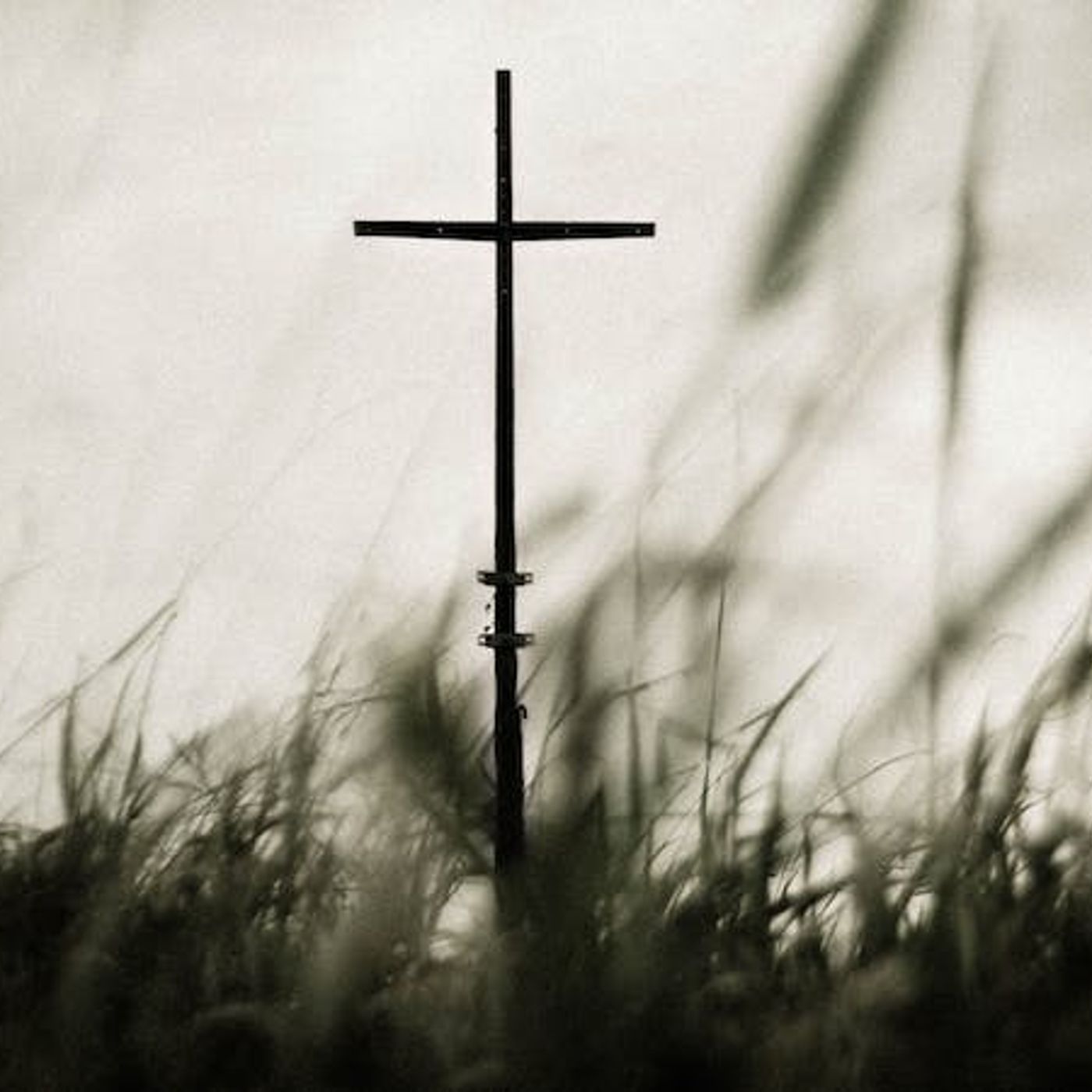 Was Jesus Confused by the Cross?