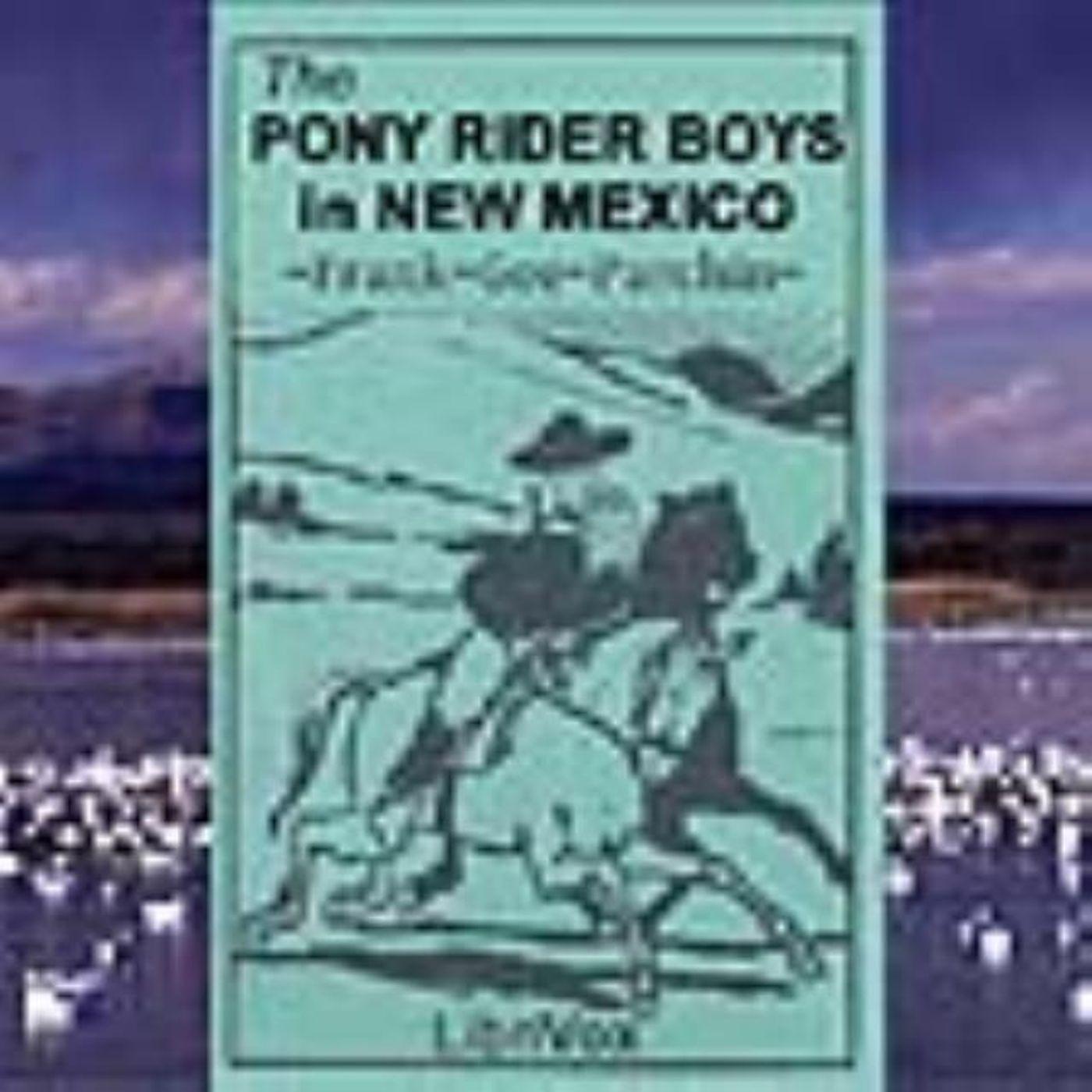 ponyriderboysinnewmexico_06_patchin_64kb_0