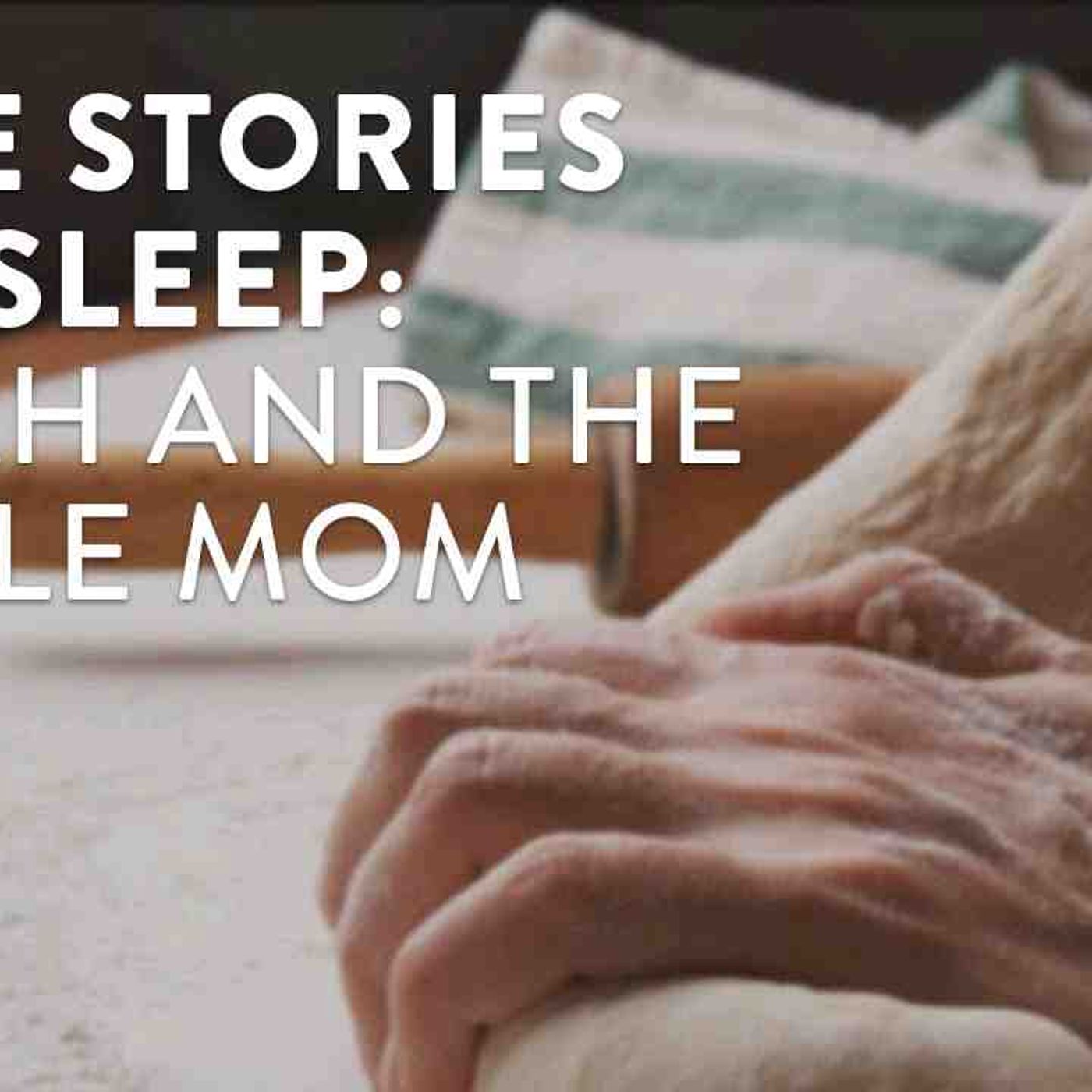 Bible Stories for Sleep_ Elijah and the Single Mom episode artwork
