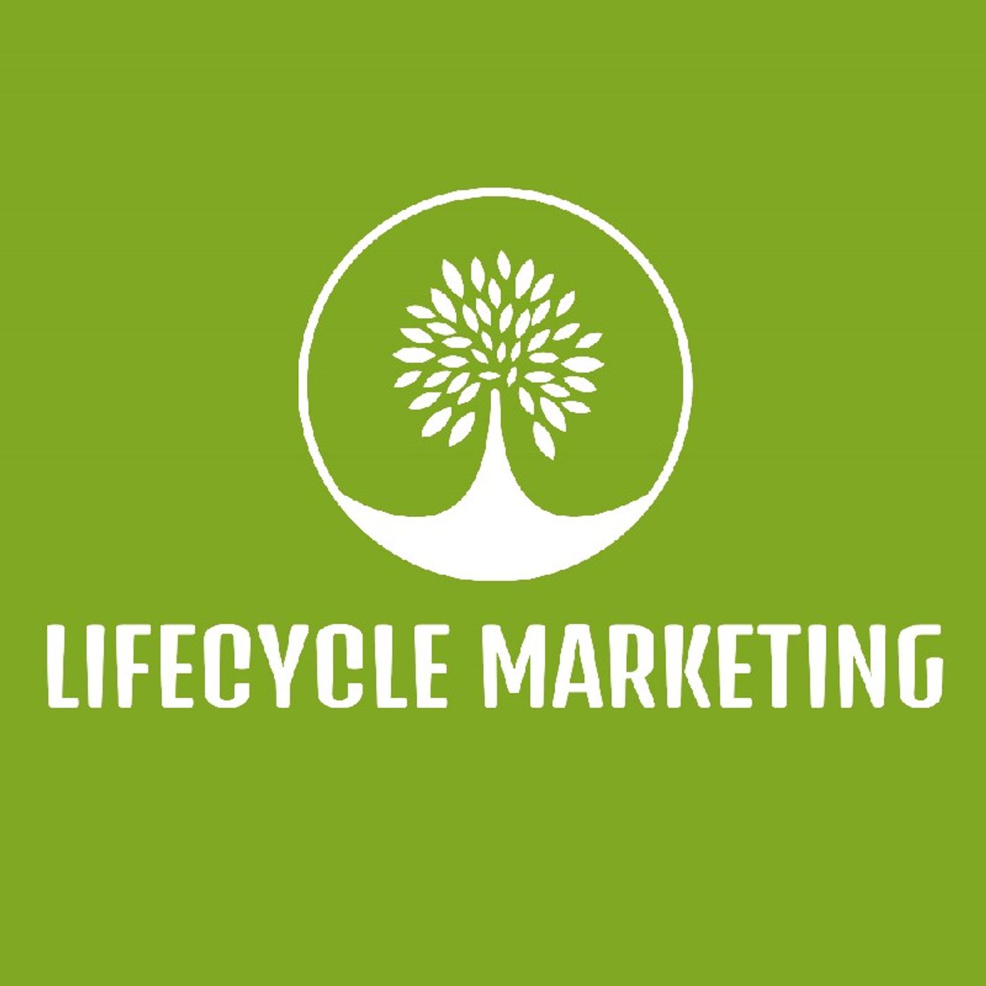 Consulente SEO and Spices