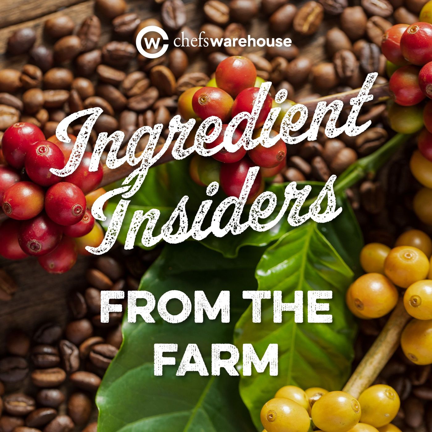 118. Coffee: Shauna Alexander of Stumptown Coffee Roasters | From the Farm