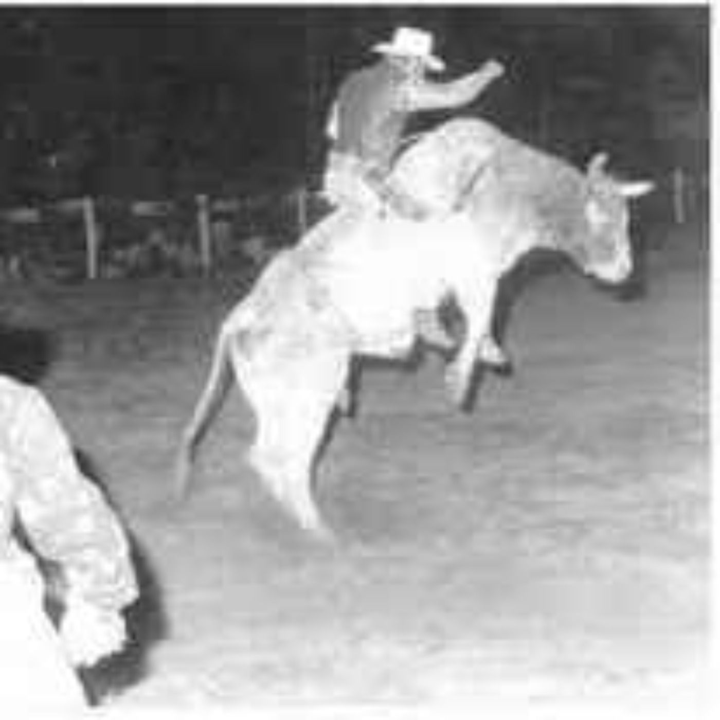 Riding Chainsaw The Eight Time Bull Of The Year