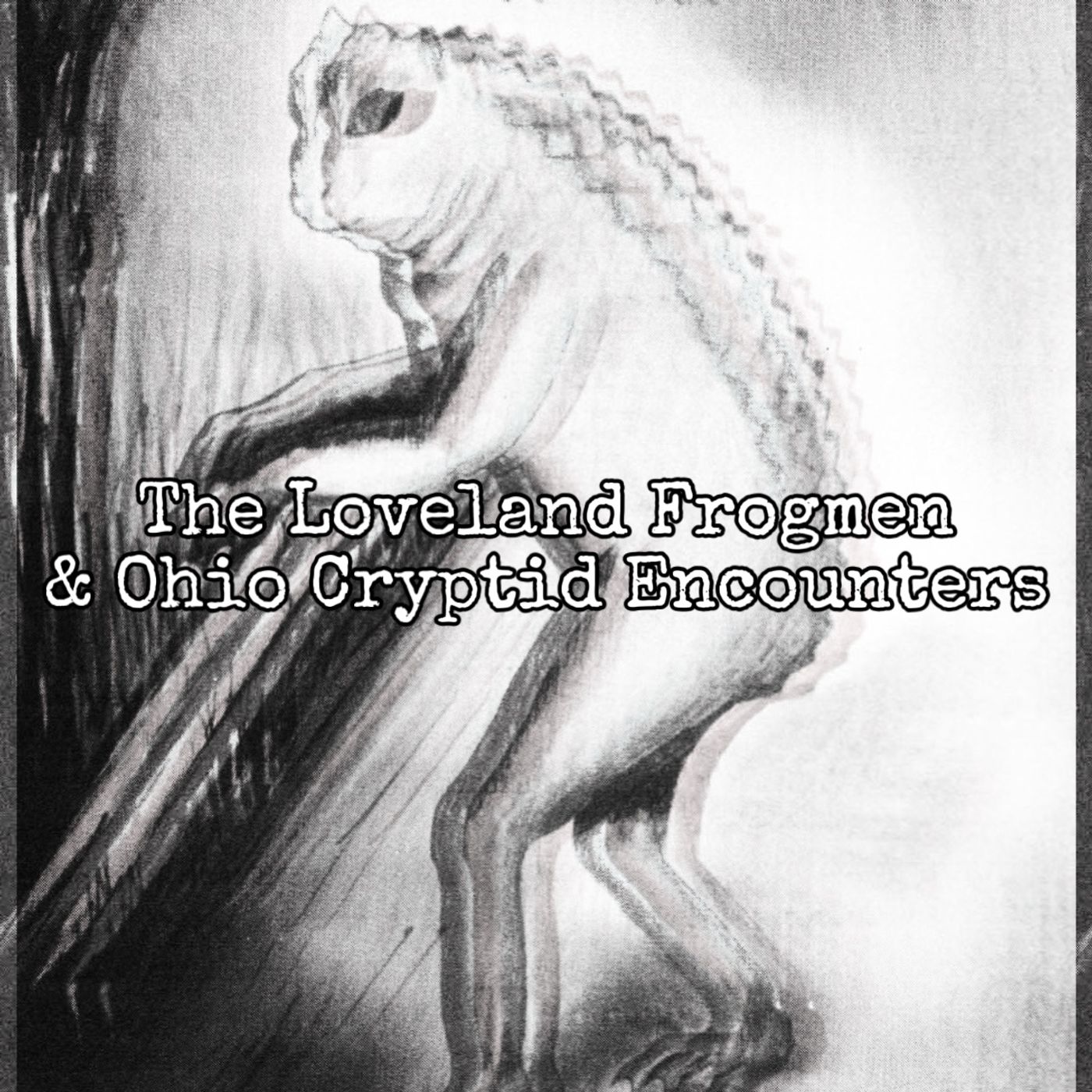 Perplexity: A Mystery Podcast