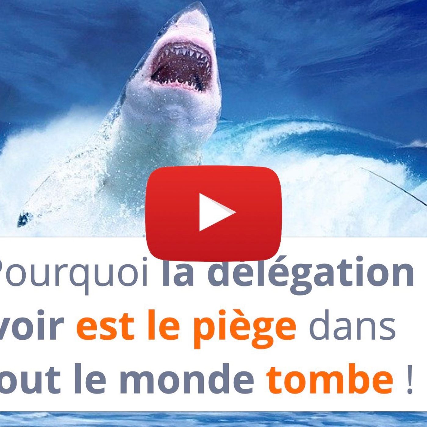 #121 - Pourquoi la délégation de pouvoir est le piège dans lequel tout le monde tombe ! episode artwork