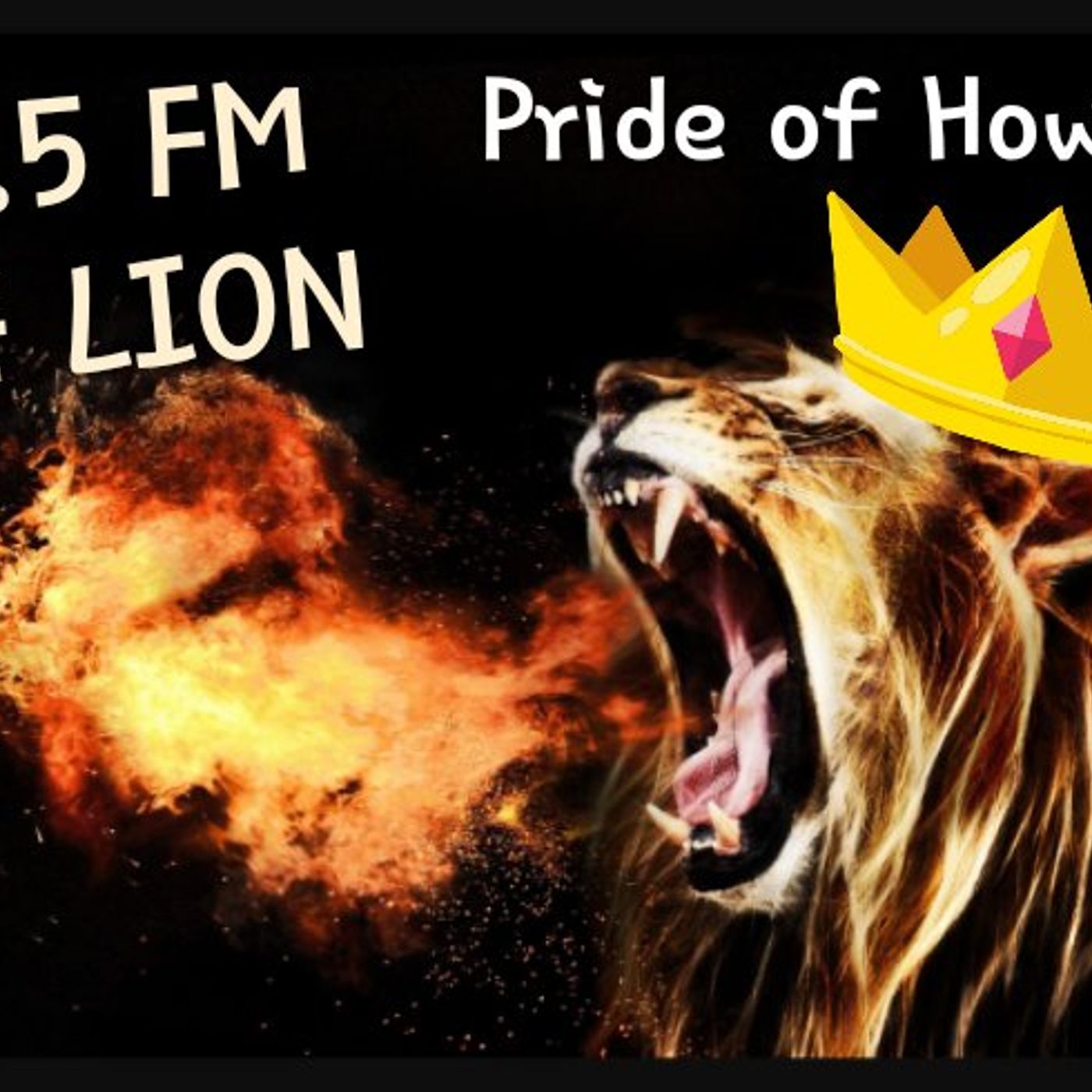100.5 FM The Lion podcast artwork