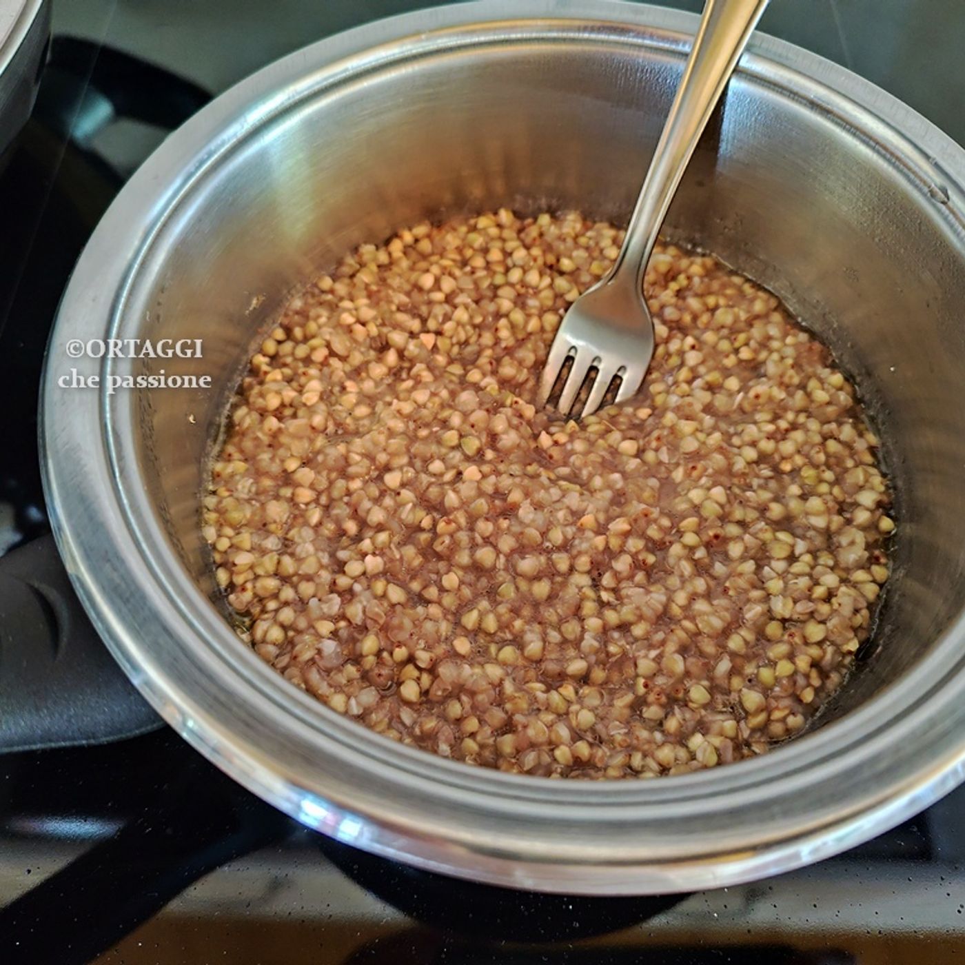GRANO SARACENO: cottura e acqua episode artwork
