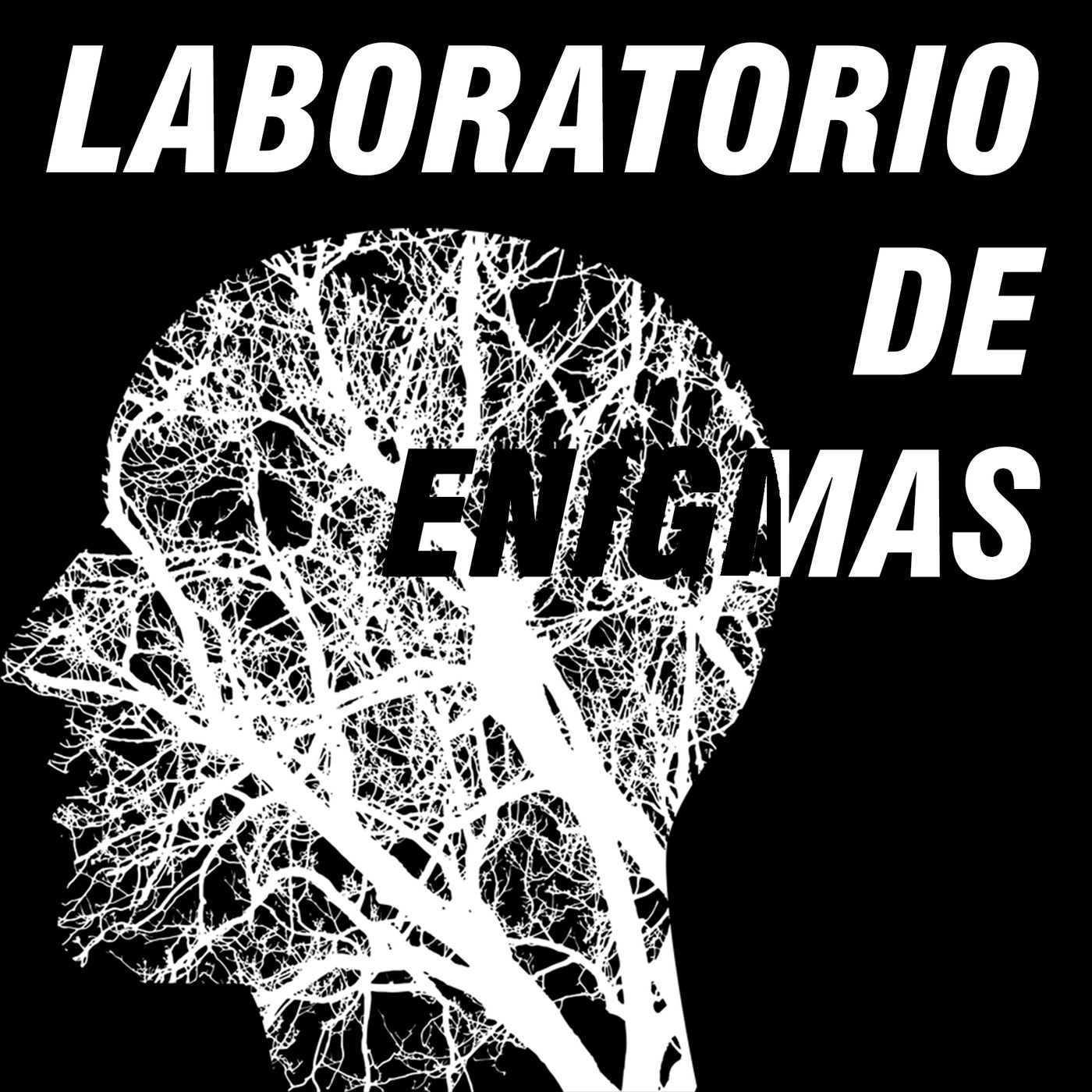 Laboratorio de Enigmas