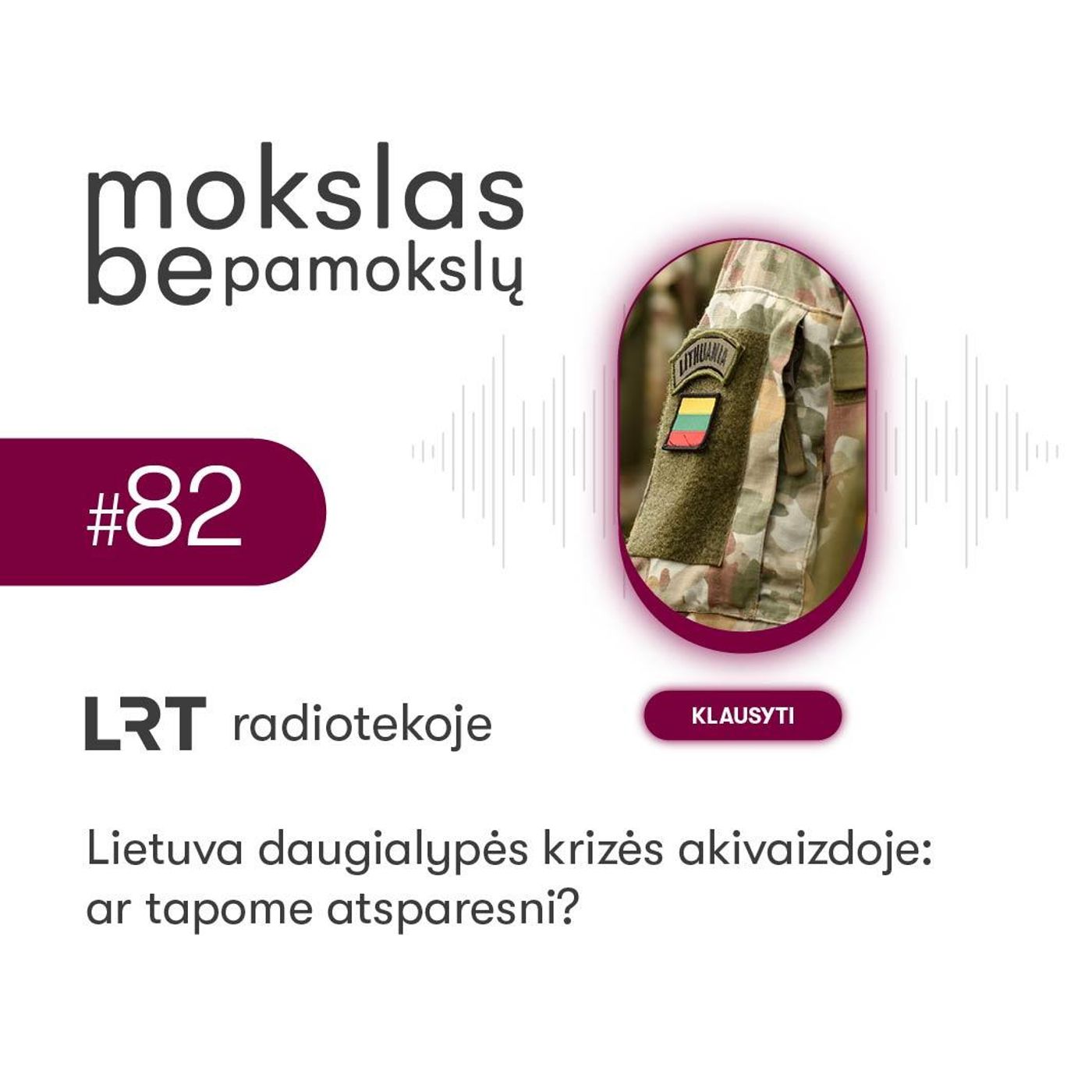 Lietuva daugialypės krizės akivaizdoje: ar tapome atsparesni?