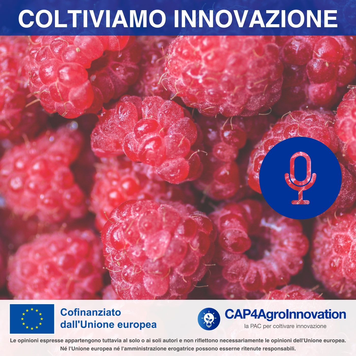 Coltiviamo innovazione