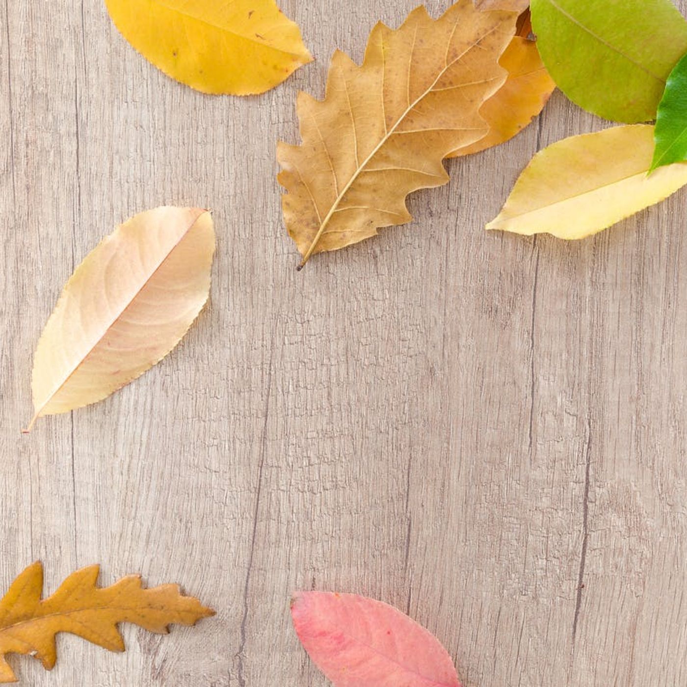 La Tavola di Settembre: Sapori, Nutrienti e Benessere episode artwork
