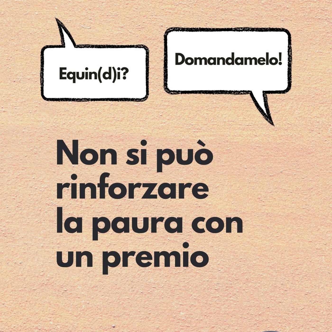 Etologia Equina, il comportamento del cavallo