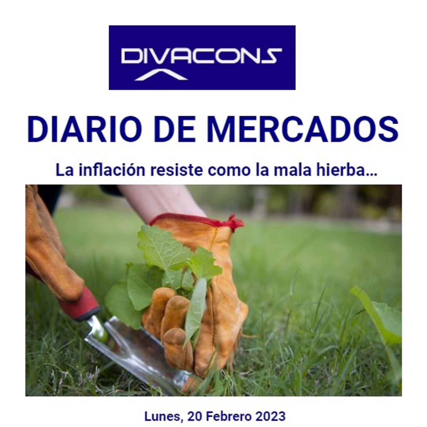 PODCAST DIARIO DE MERCADOS Lunes 20 Febrero episode artwork