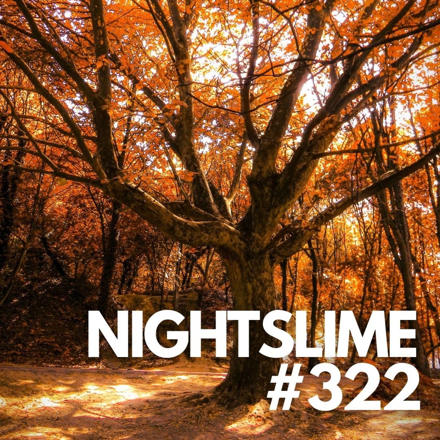 Nightslime