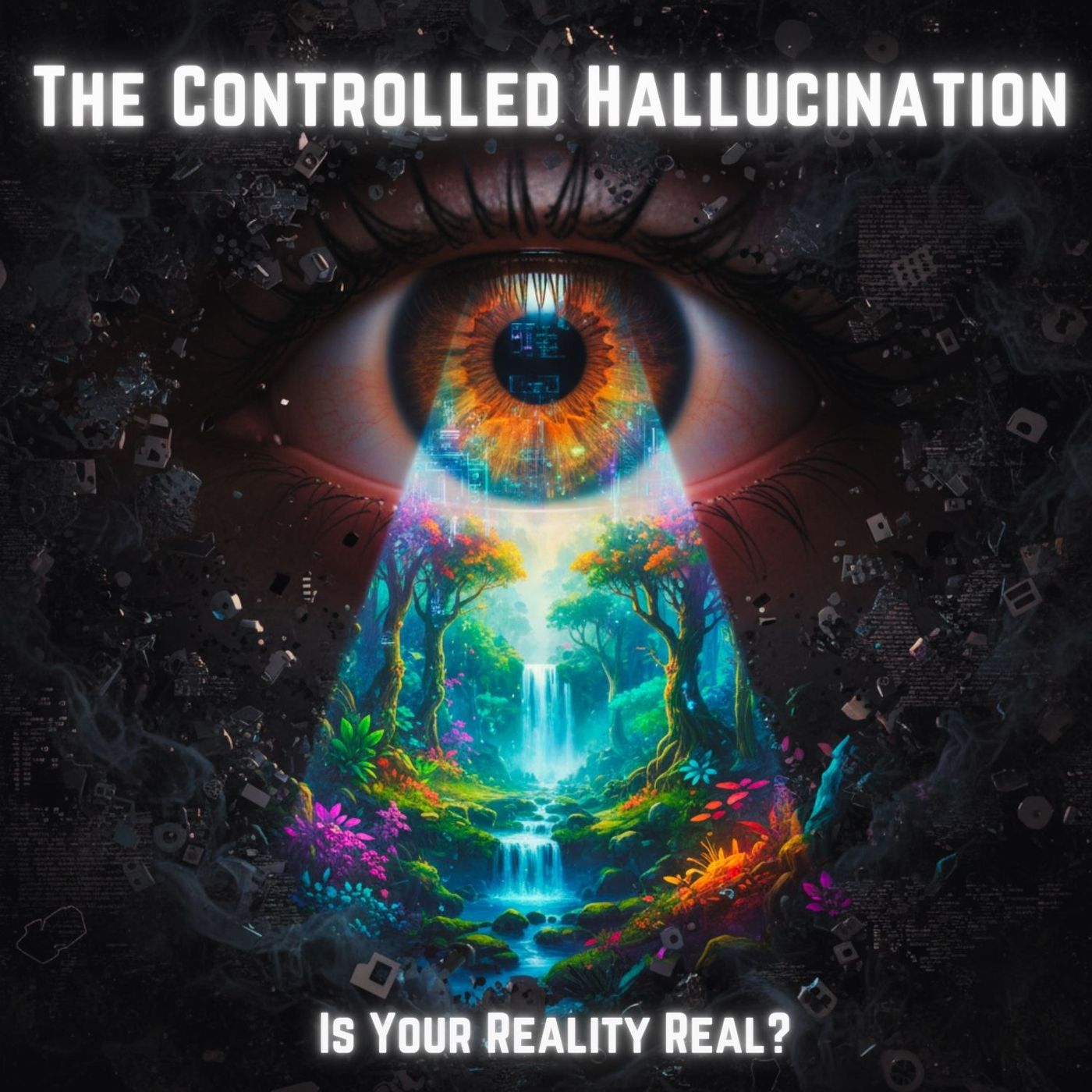 The CONTROLLED Hallucination: Is Your REALITY Real?