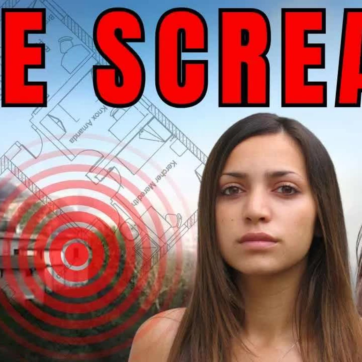 AMANDA KNOX ＂Capezzali heard TWO PEOPLE RUNNING IN OPPOSITE DIRECTIONS simultaneously...＂ episode artwork
