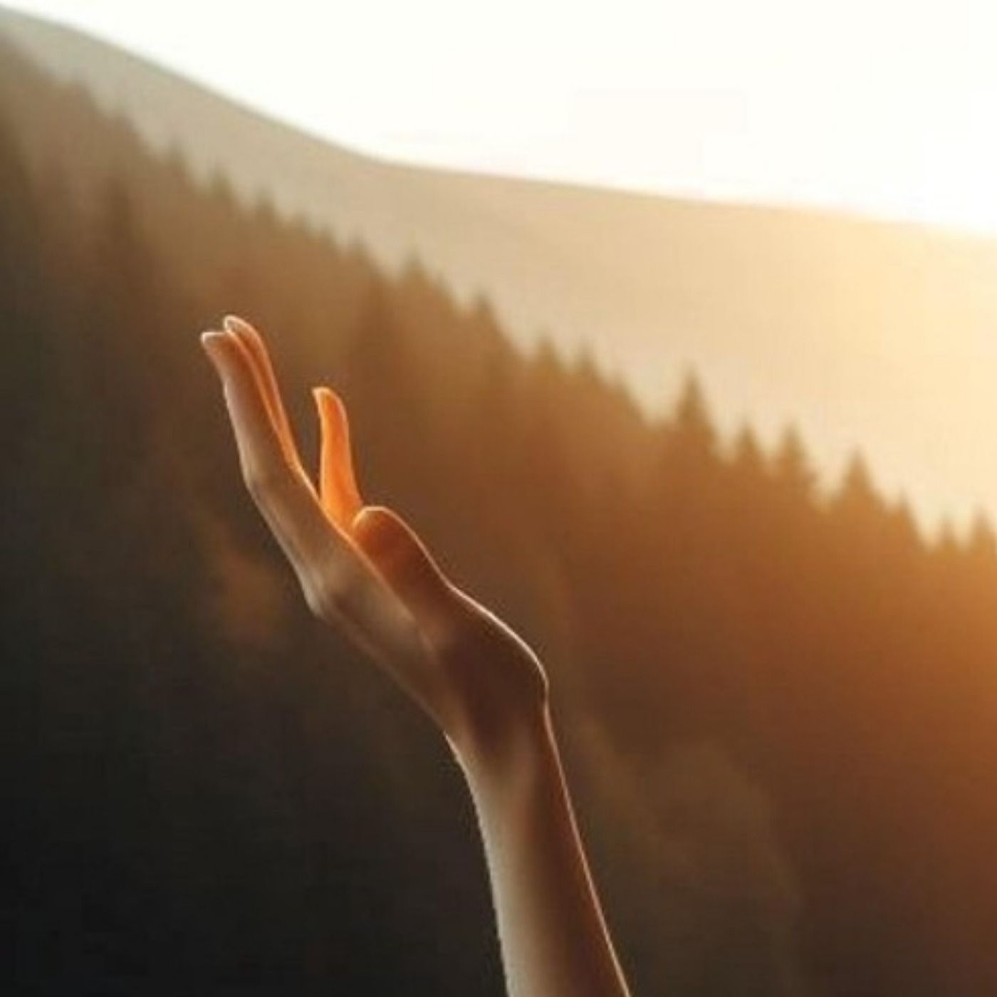Understanding Quietness: How to Connect with Every Shy Personality