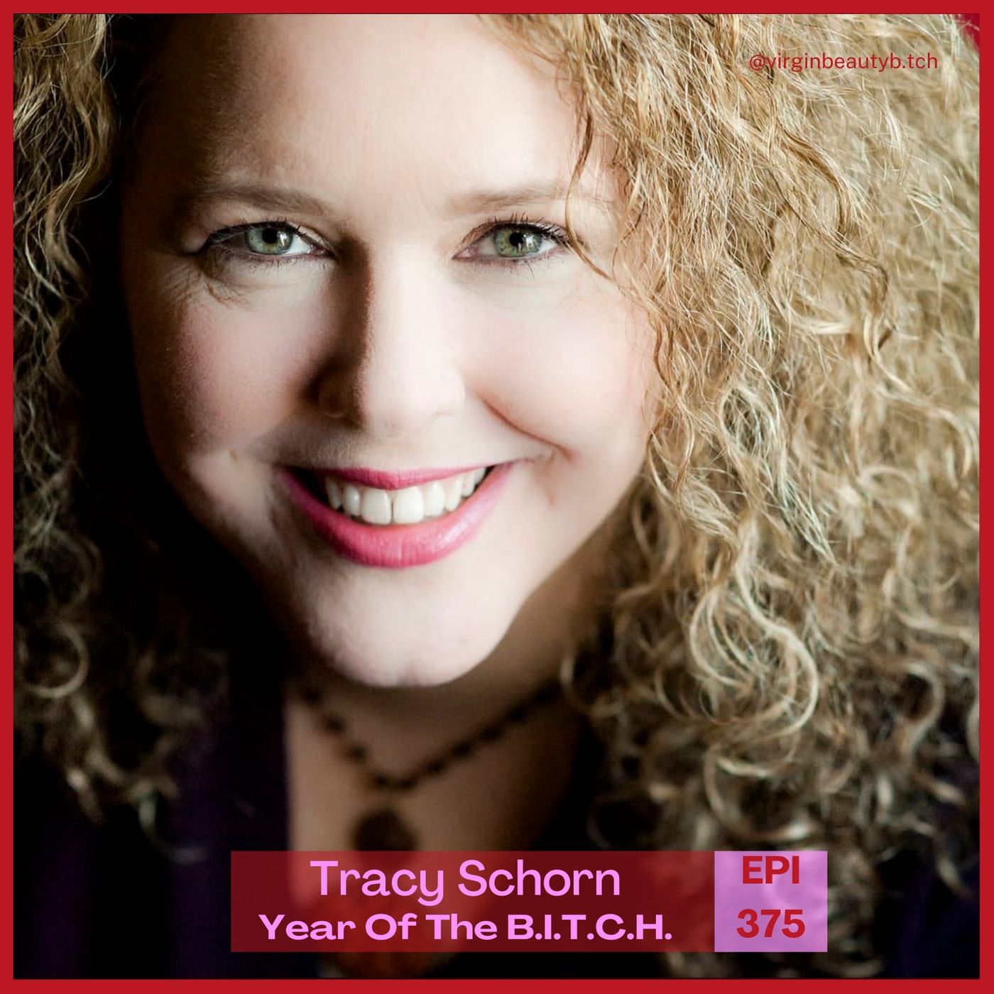 VBB 375 Tracy Schorn: Author of “Leave a Cheater, Gain a Life!