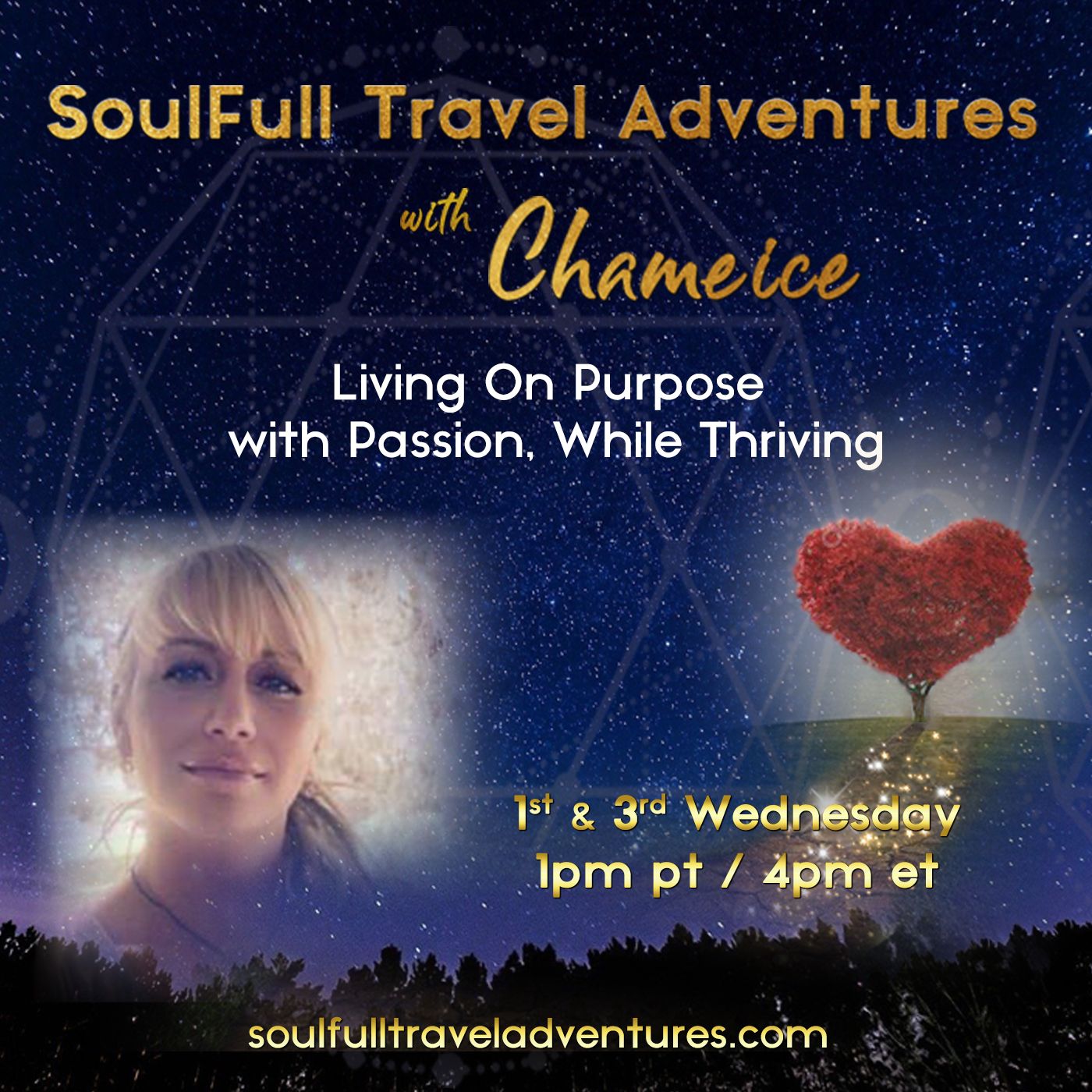 SoulFull Travel Adventures with Chameice Daniel: Living On Purpose with Passion, While Thriving