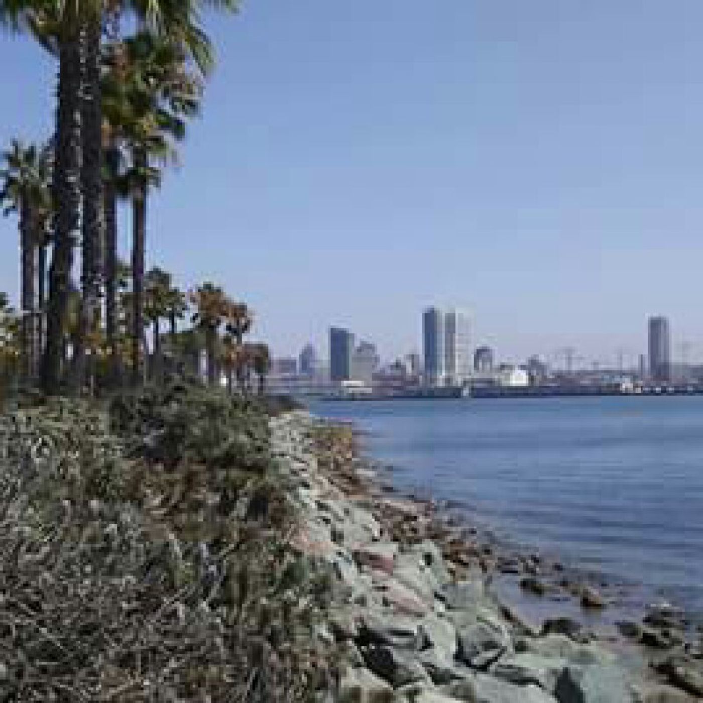 Former Mayor Of Chula Vista Cheryl Cox Talks To The Talk Of San Diego episode artwork