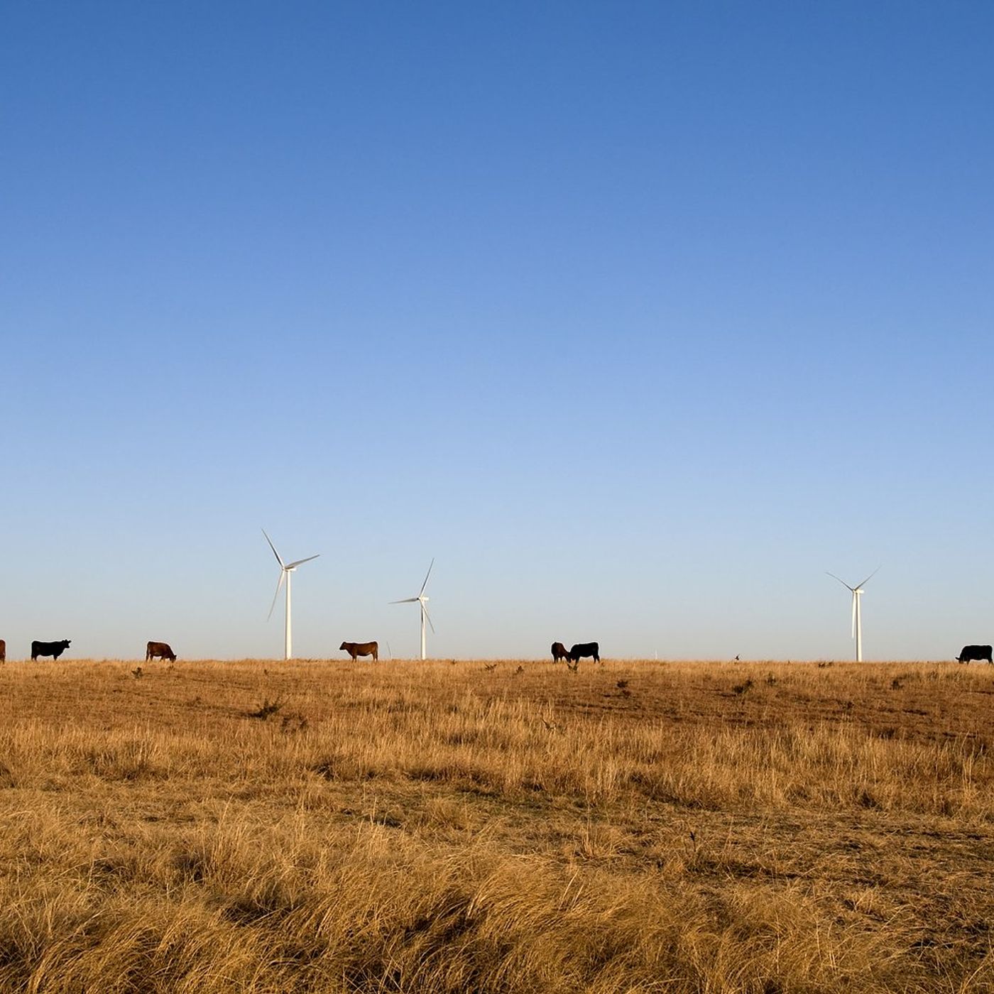 $2.6B Heritage Prairie Renewable project in Kankakee and Livingston counties on schedule episode artwork