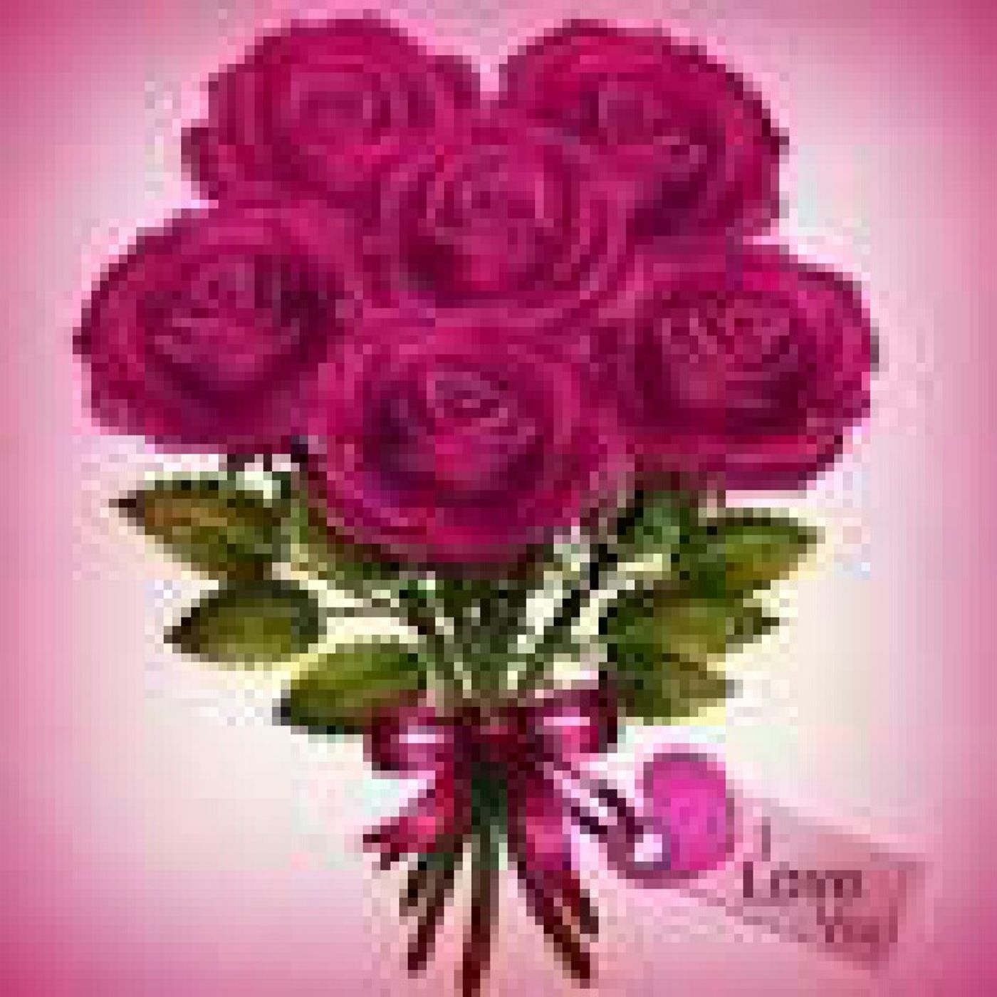 zaipul_Indah-()show()