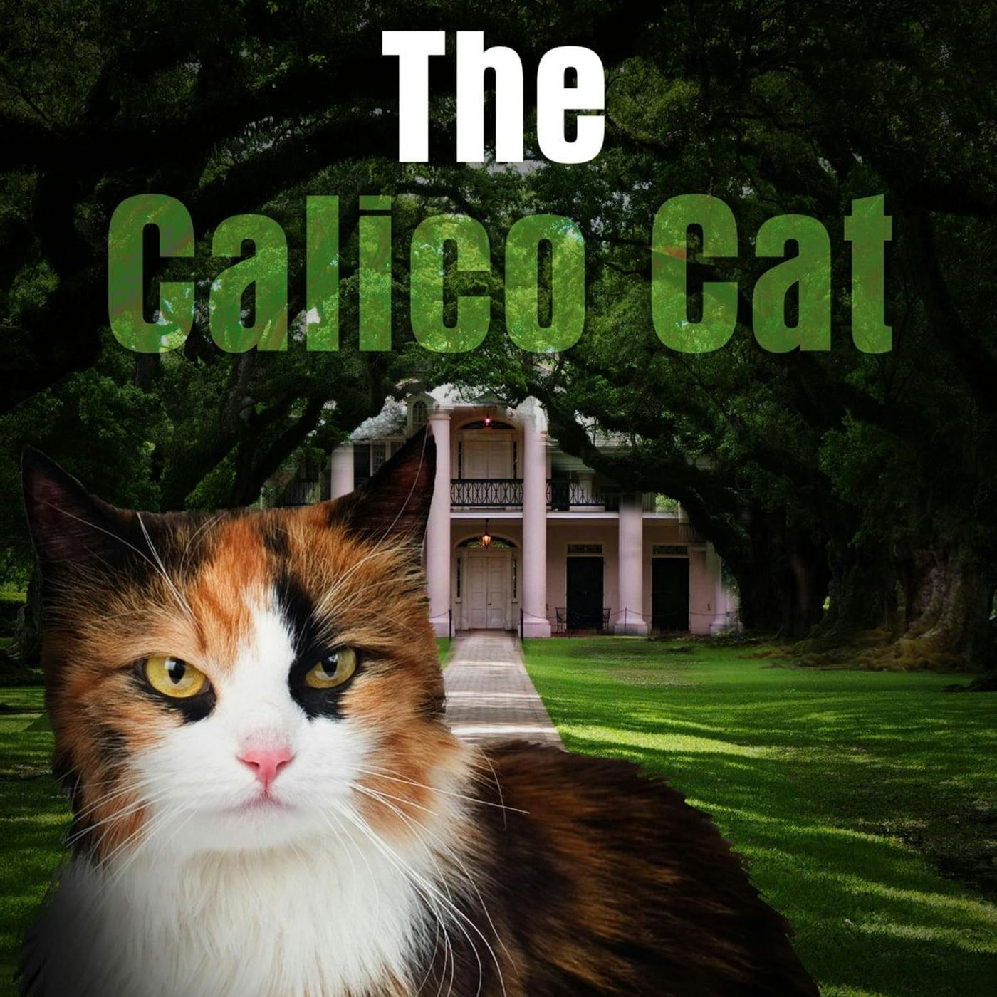The Calico Cat by Charles Miner Thompson | Full Audiobook | Audiobook Time episode artwork