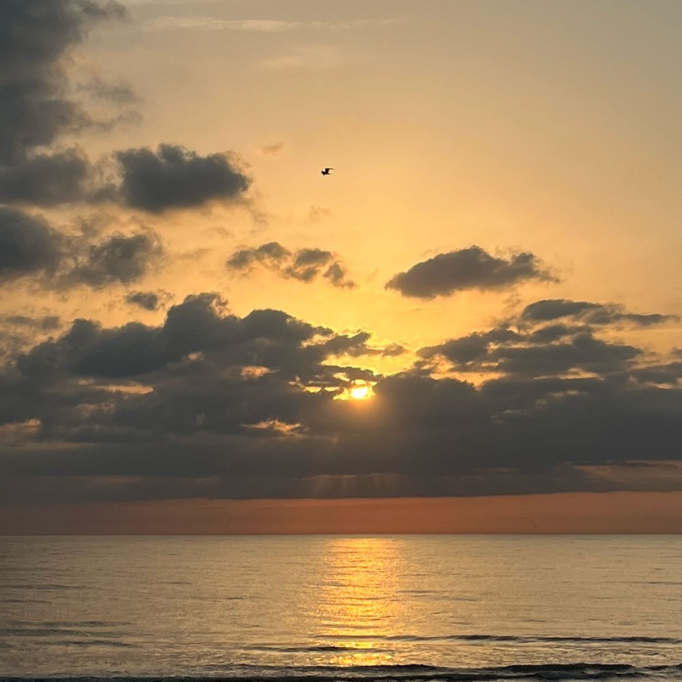 Episode 1480 - Jo’s Place Episode 1480 - Jo’s Place