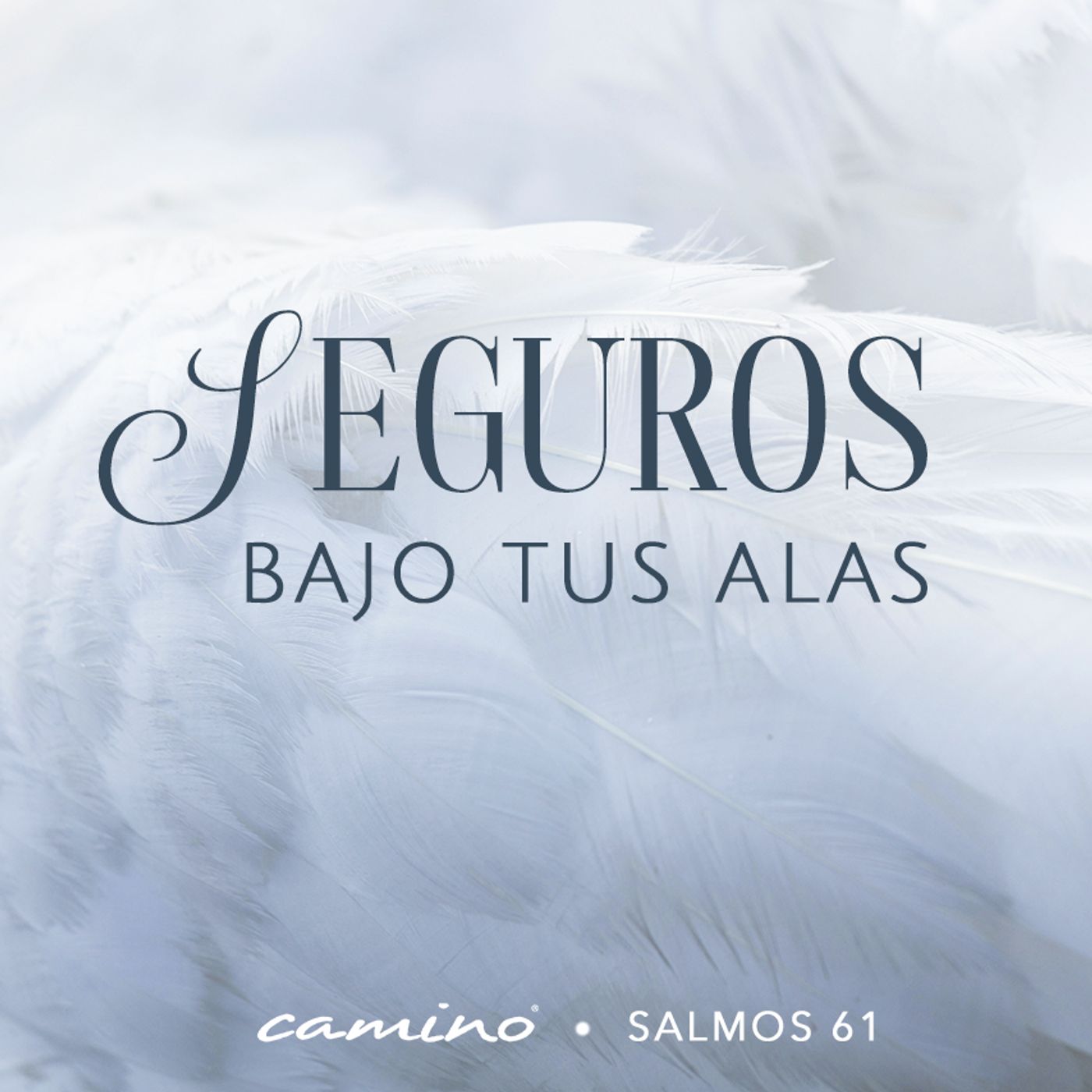 Oración 22 Julio (Seguros bajo tus alas) episode artwork